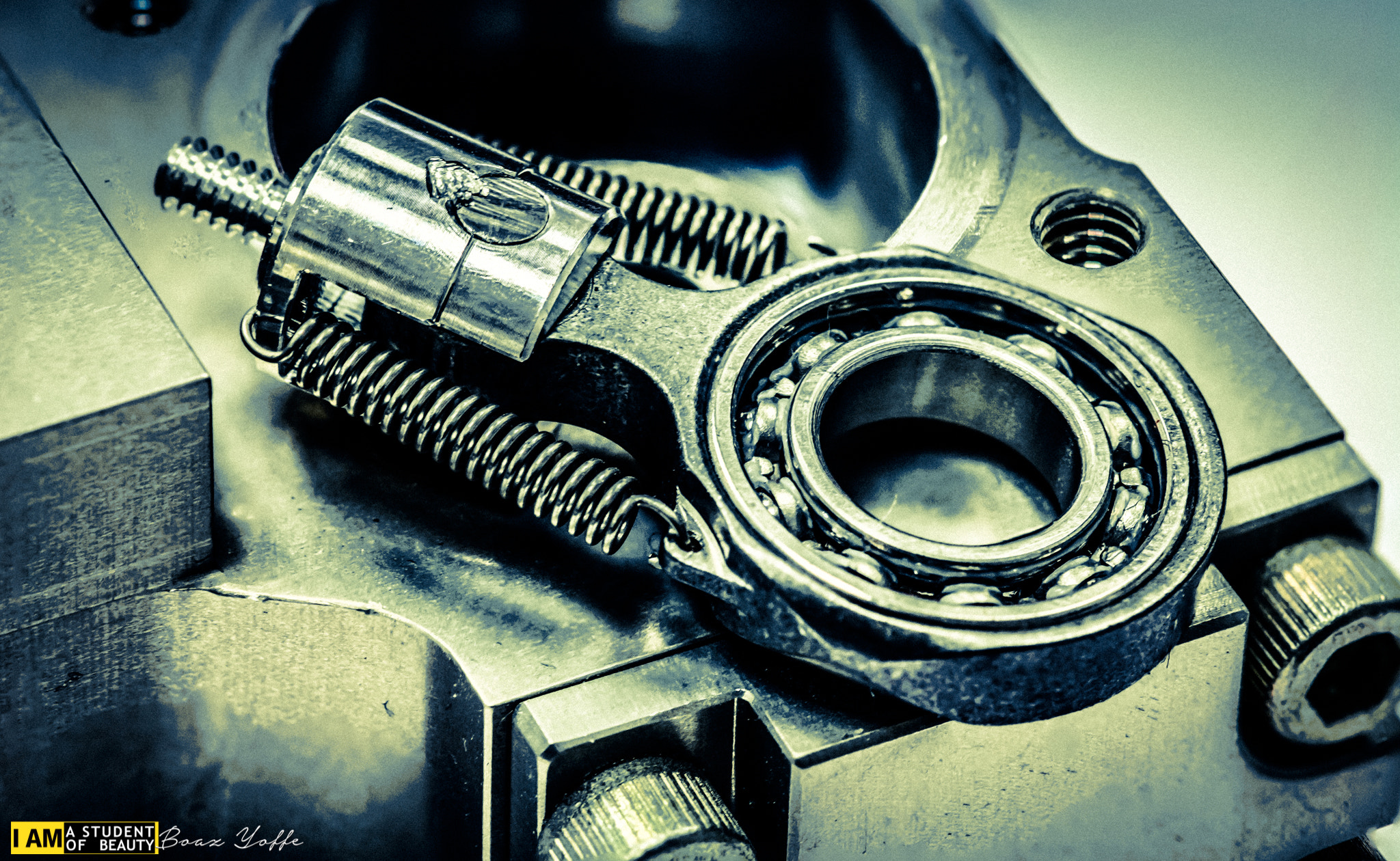 Tokina AT-X Pro 100mm F2.8 Macro sample photo. Miniature piston photography