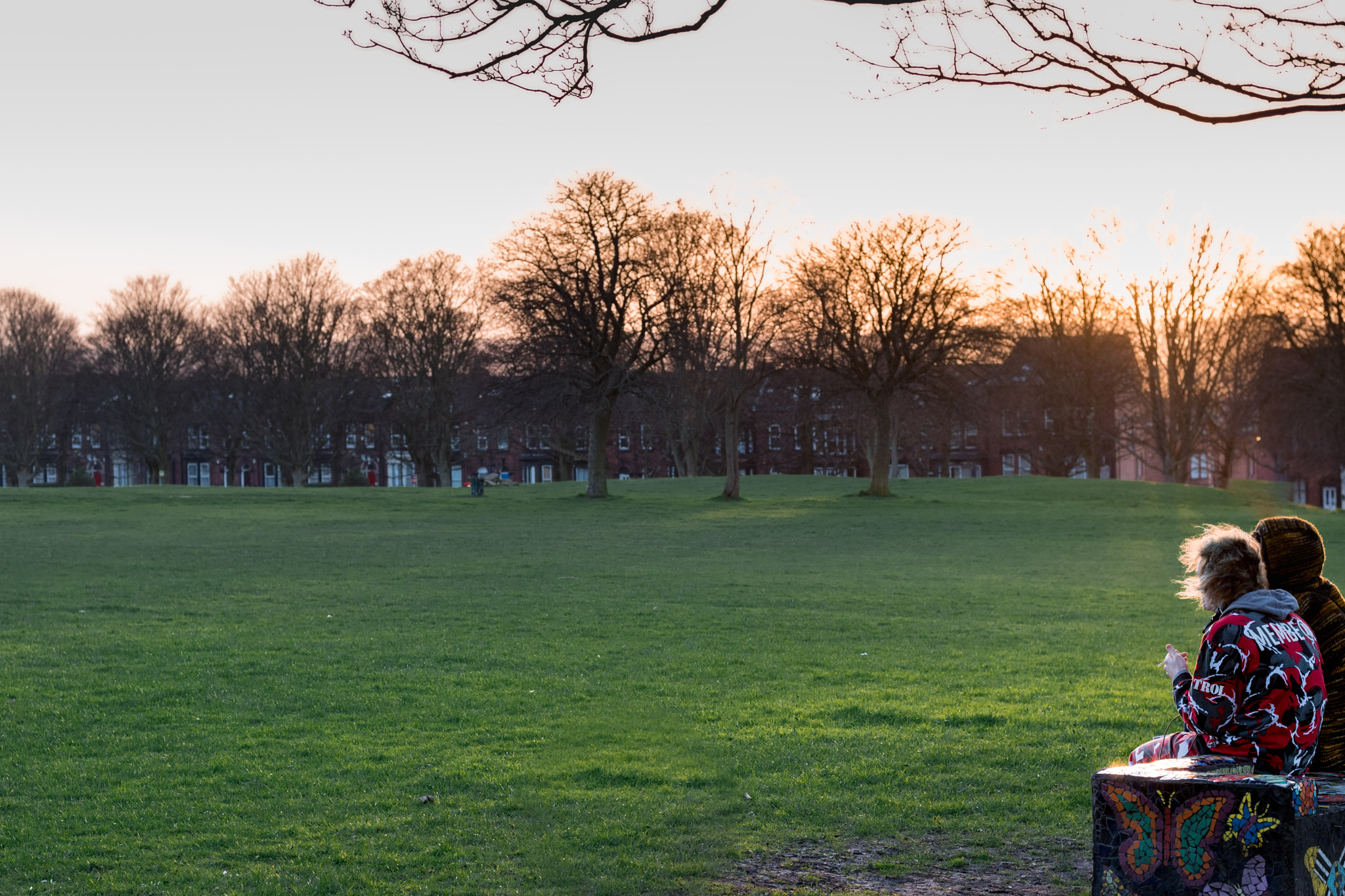Nikon D5500 + Nikon AF-S Nikkor 50mm F1.8G sample photo. Bench friend photography