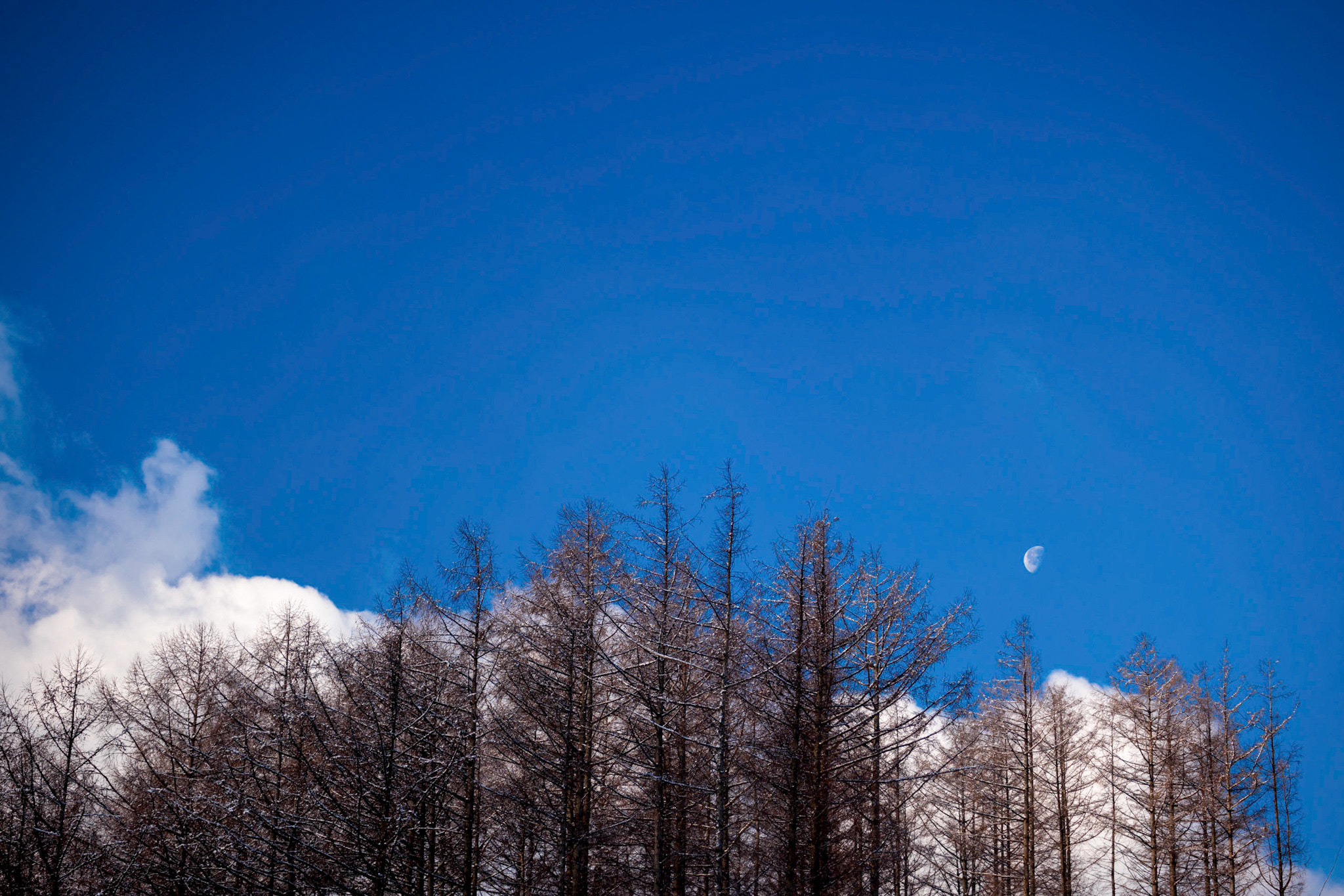 NX 50-150mm F2.8 S sample photo. Moon in the blue sky photography