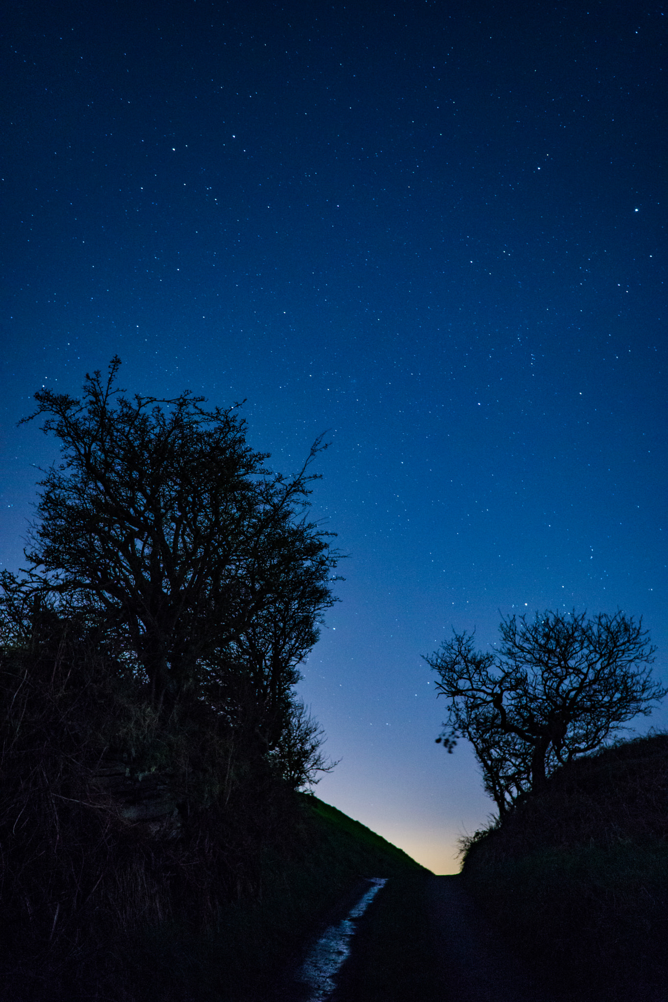 Sony a6000 + Sony E 16mm F2.8 sample photo. Trail and tree photography