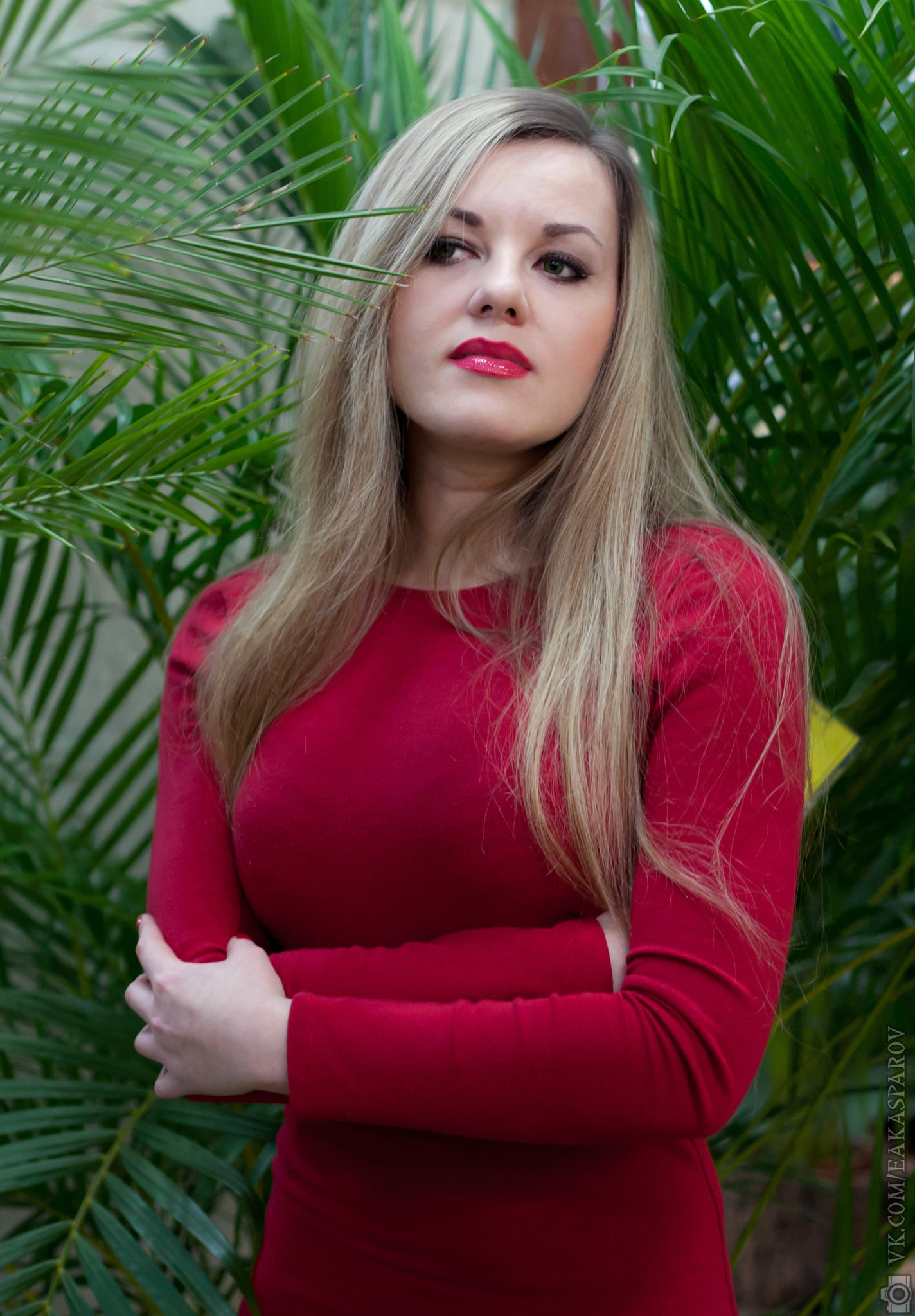 Canon EOS 40D + Canon EF 50mm F1.8 II sample photo. Irina a. photography