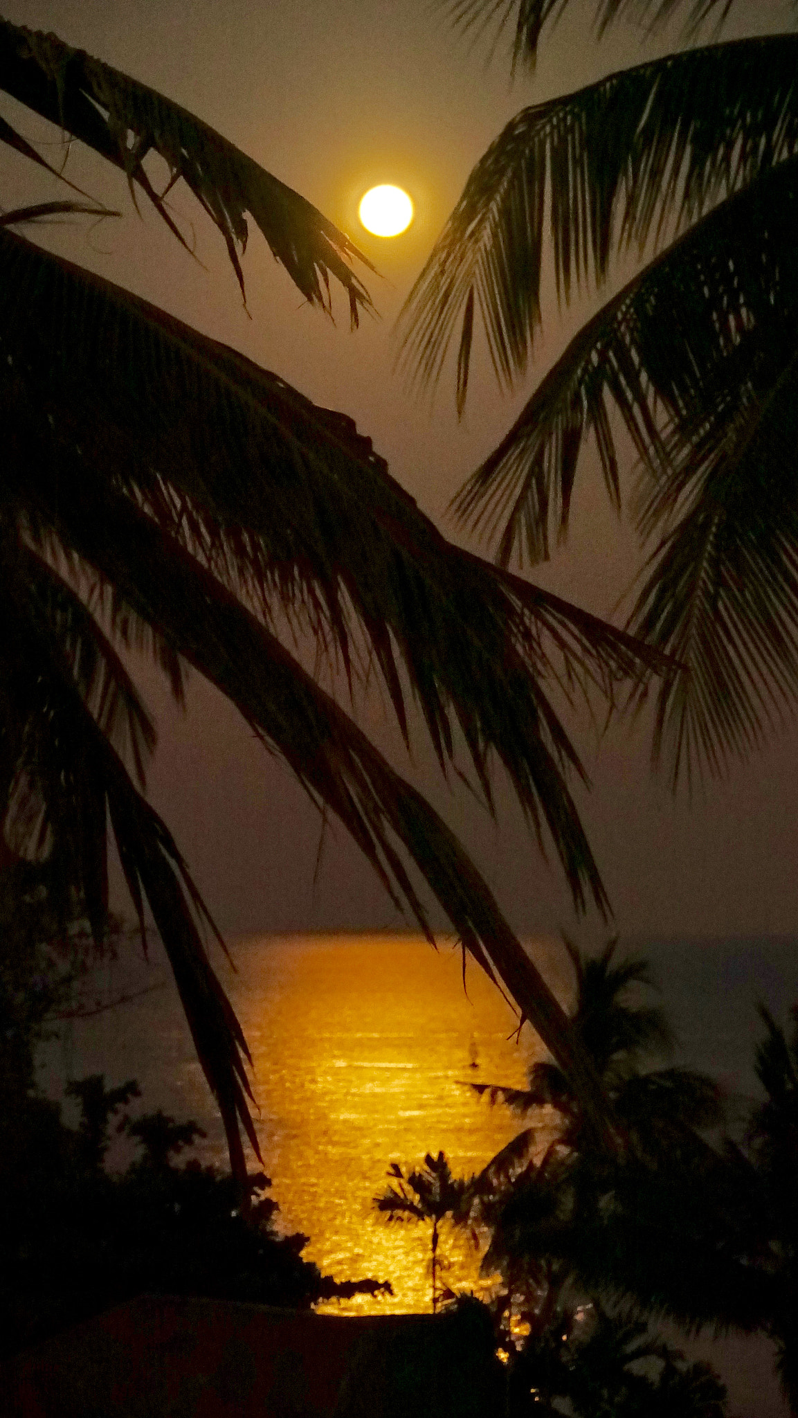 Sony 24-600mm F2.4-4.0 sample photo. Moon rise photography