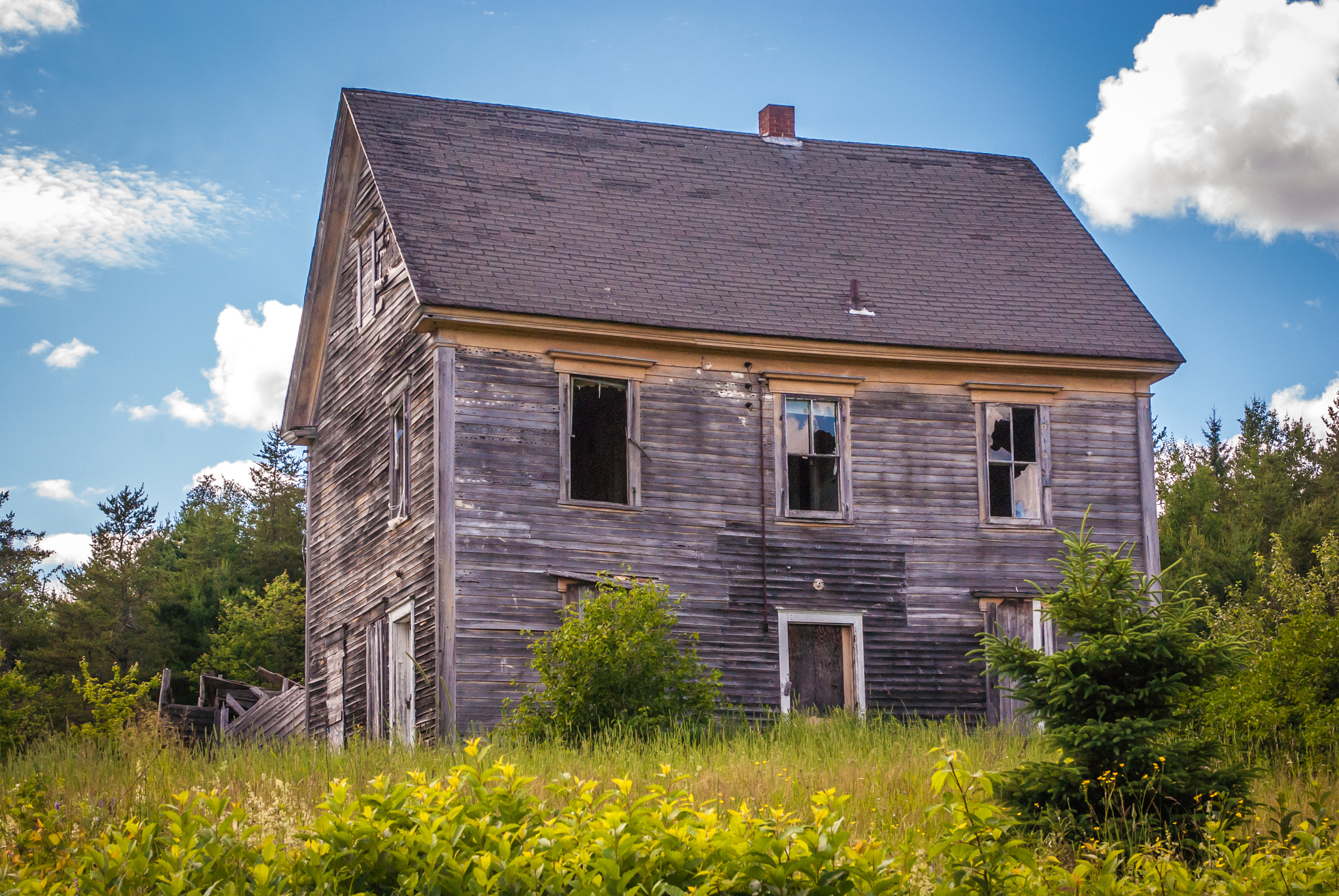 Sony Alpha DSLR-A330 + Sigma 17-70mm F2.8-4.5 (D) sample photo. Abandoned photography