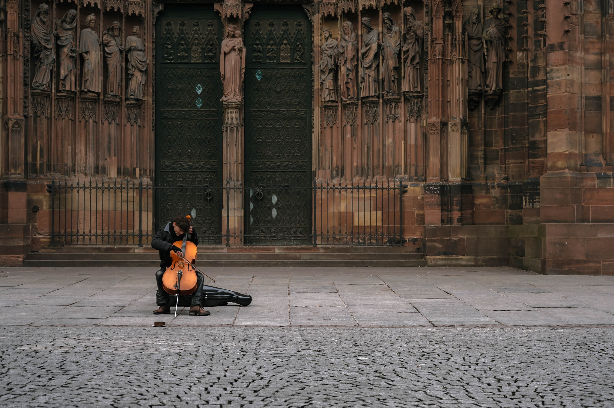 Nikon D700 sample photo. Cello photography