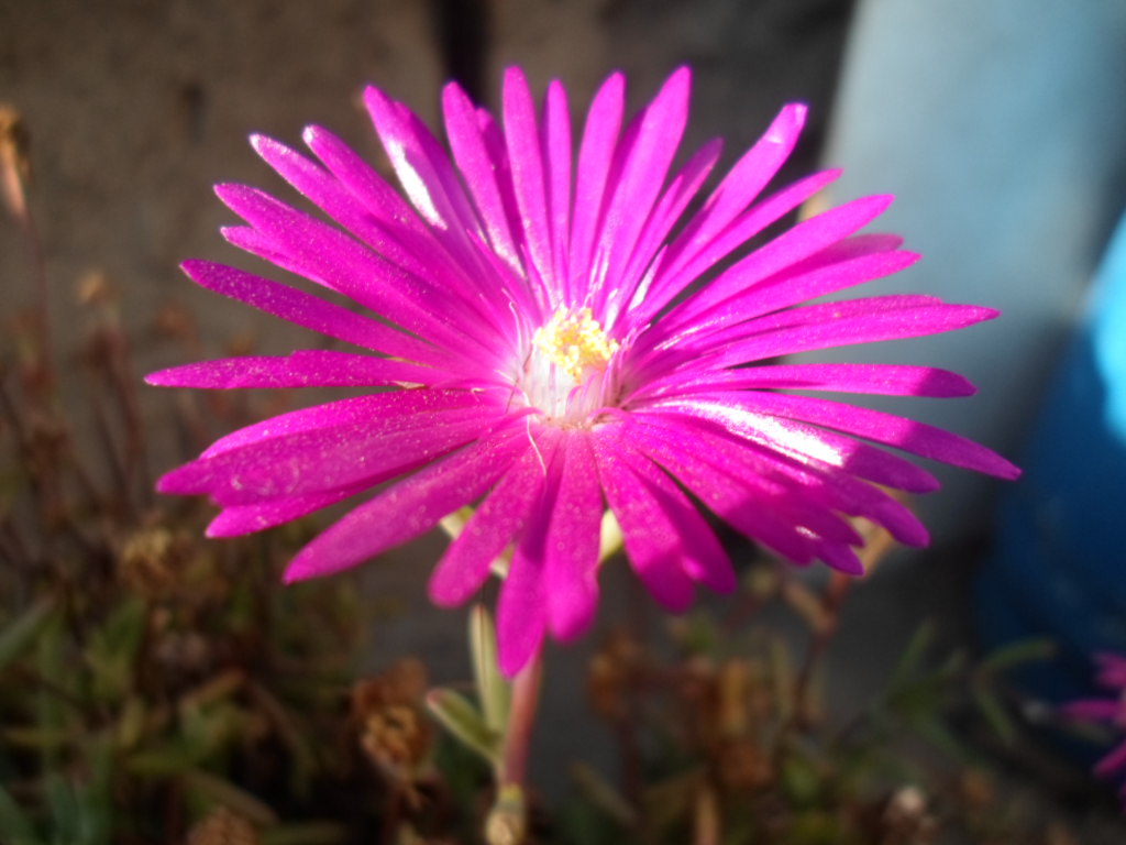 Samsung ST66 / ST68 sample photo. Rayo de sol photography