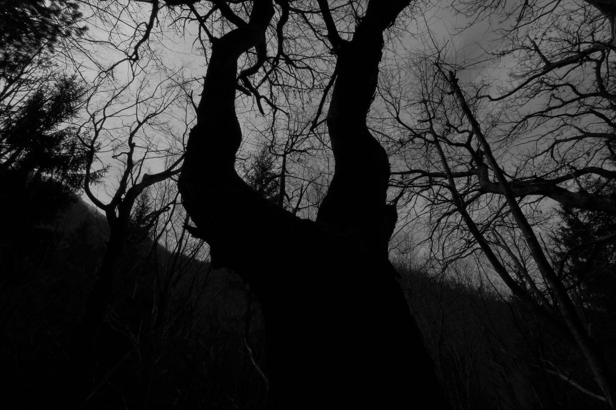 Canon EF-S 10-22mm F3.5-4.5 USM sample photo. Tenebris photography