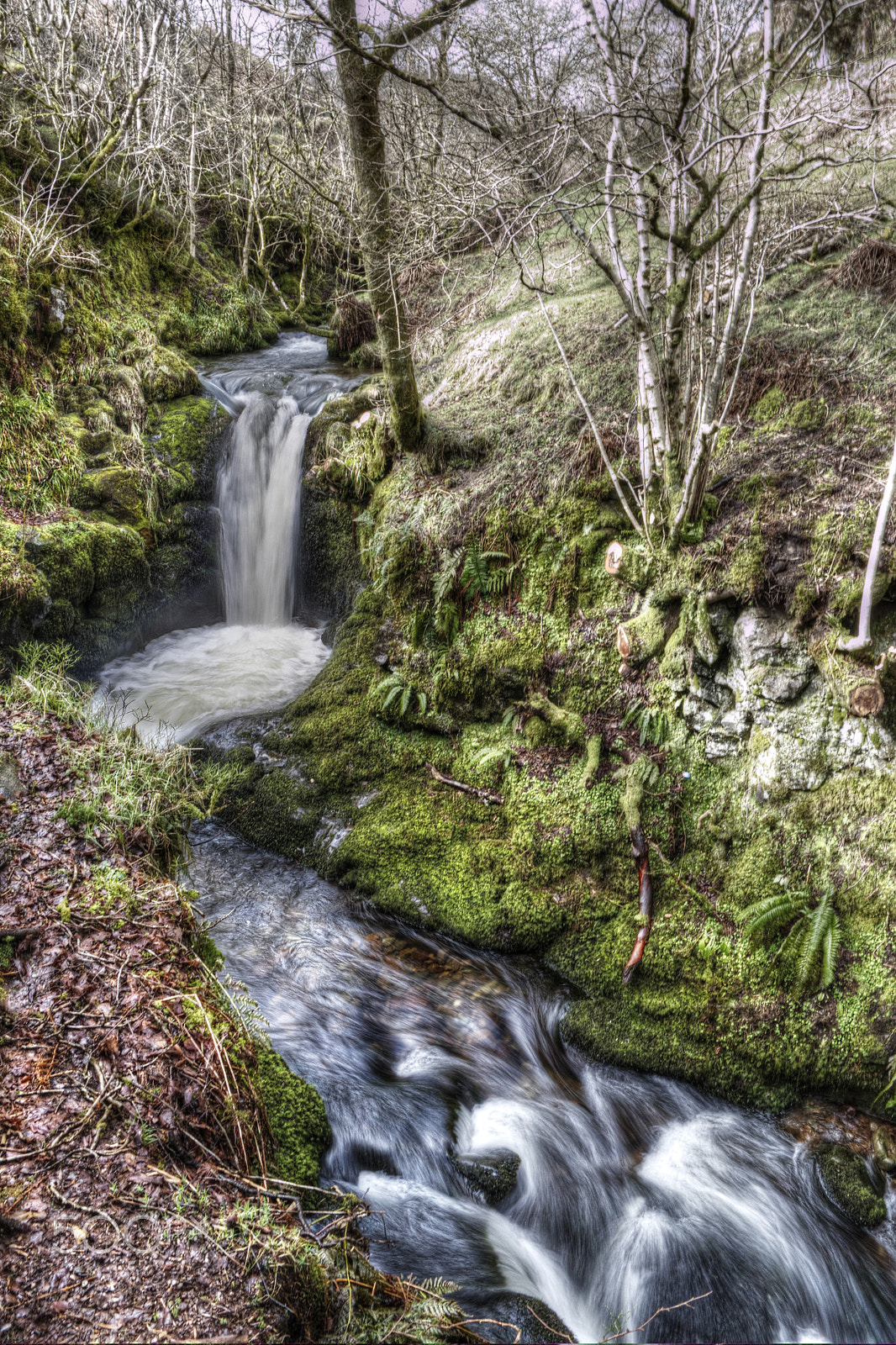 LUMIX G VARIO 12-60/F3.5-5.6 sample photo. Dollar glen, scotland photography