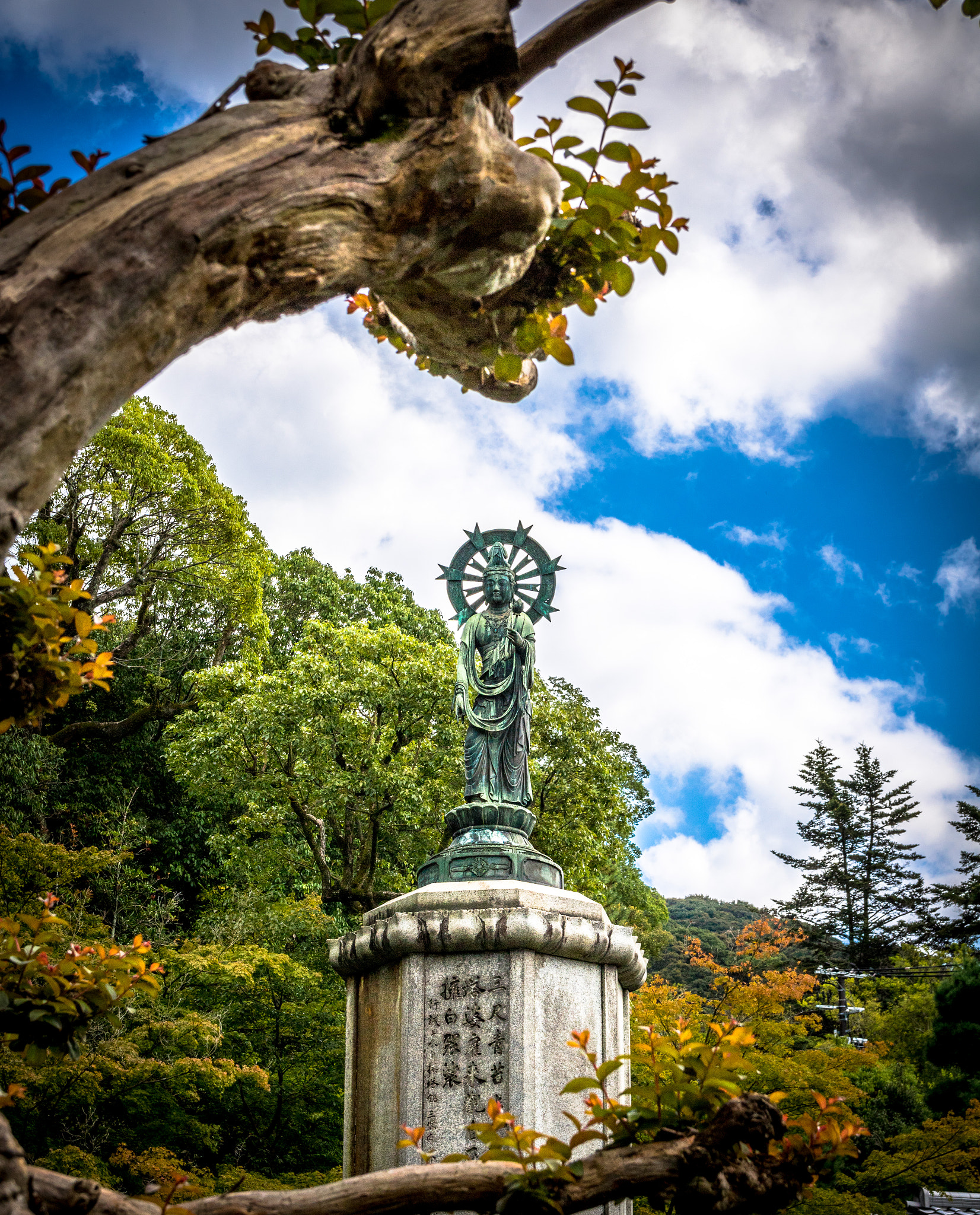 Canon EOS 760D (EOS Rebel T6s / EOS 8000D) + Canon EF-S 17-55mm F2.8 IS USM sample photo. Kyoto - chion-in - garden photography