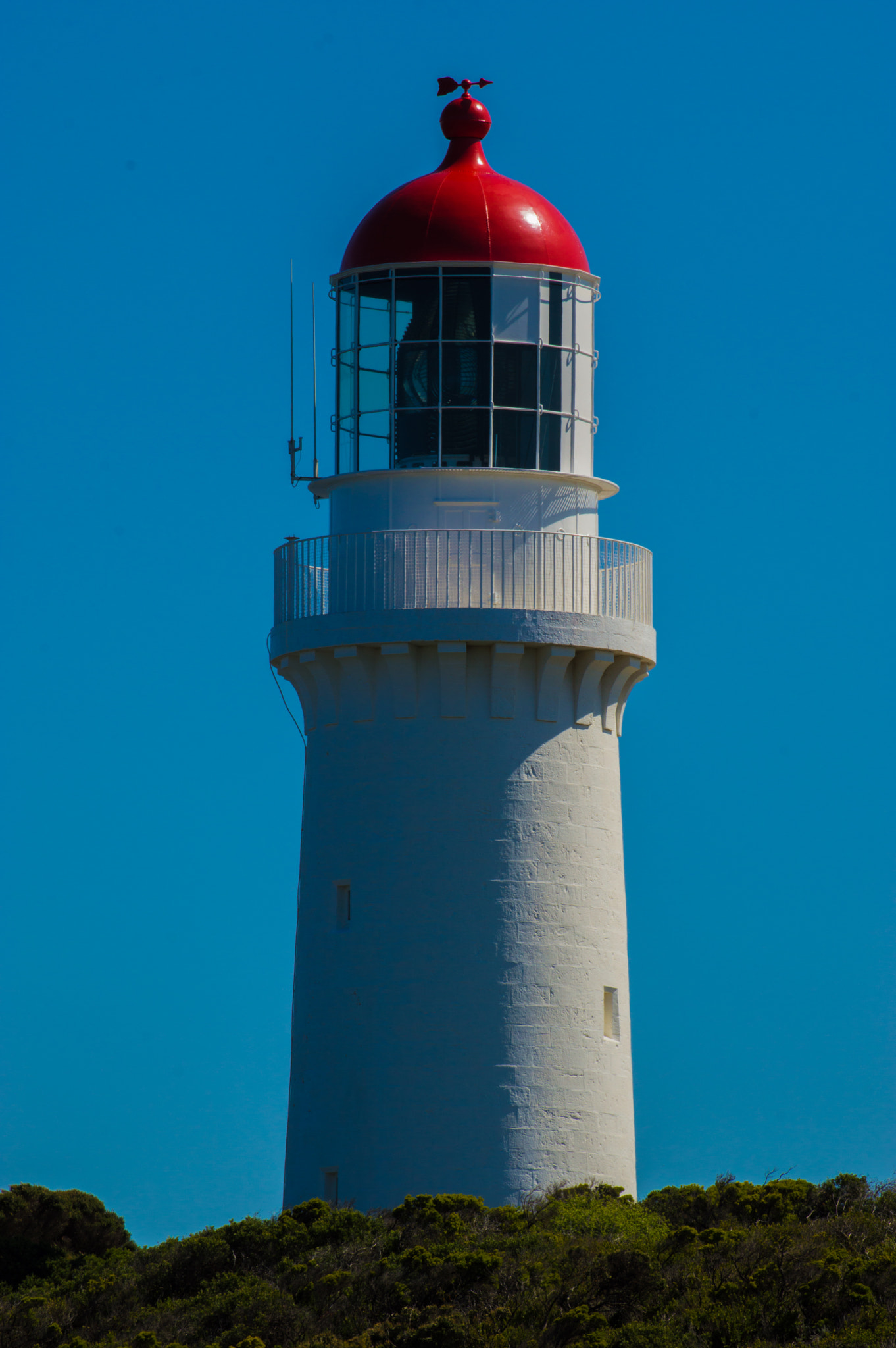 Nikon D3200 sample photo. Red hat! photography