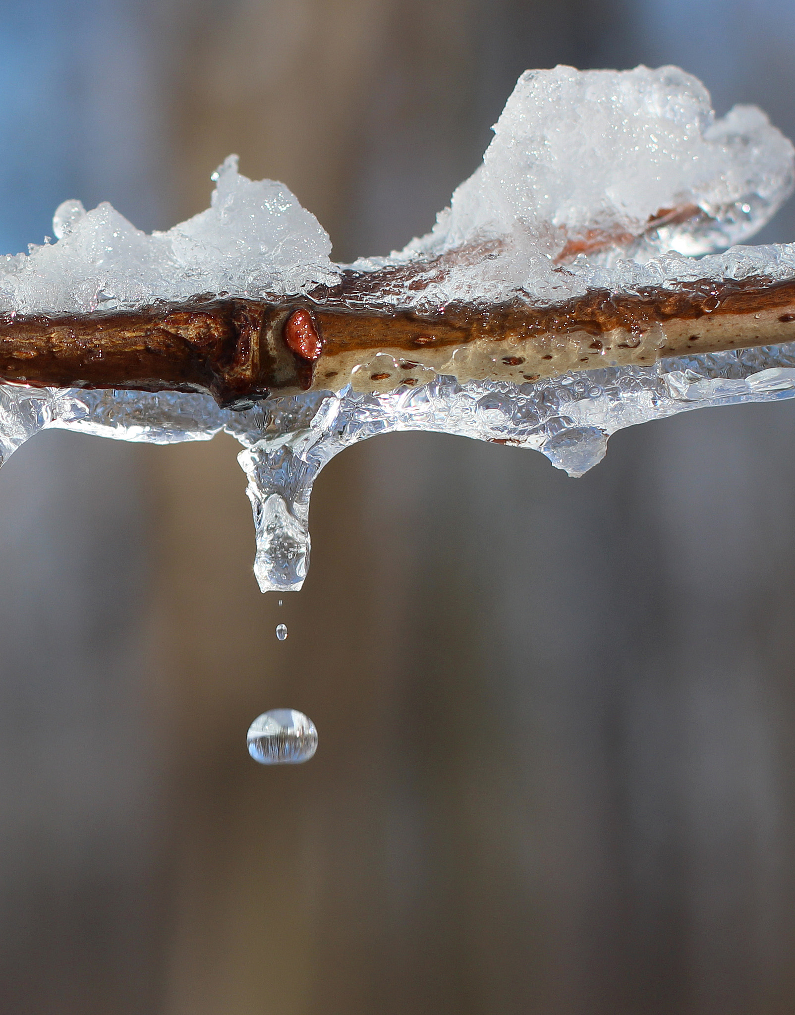 Canon EOS 650D (EOS Rebel T4i / EOS Kiss X6i) sample photo. Drip photography