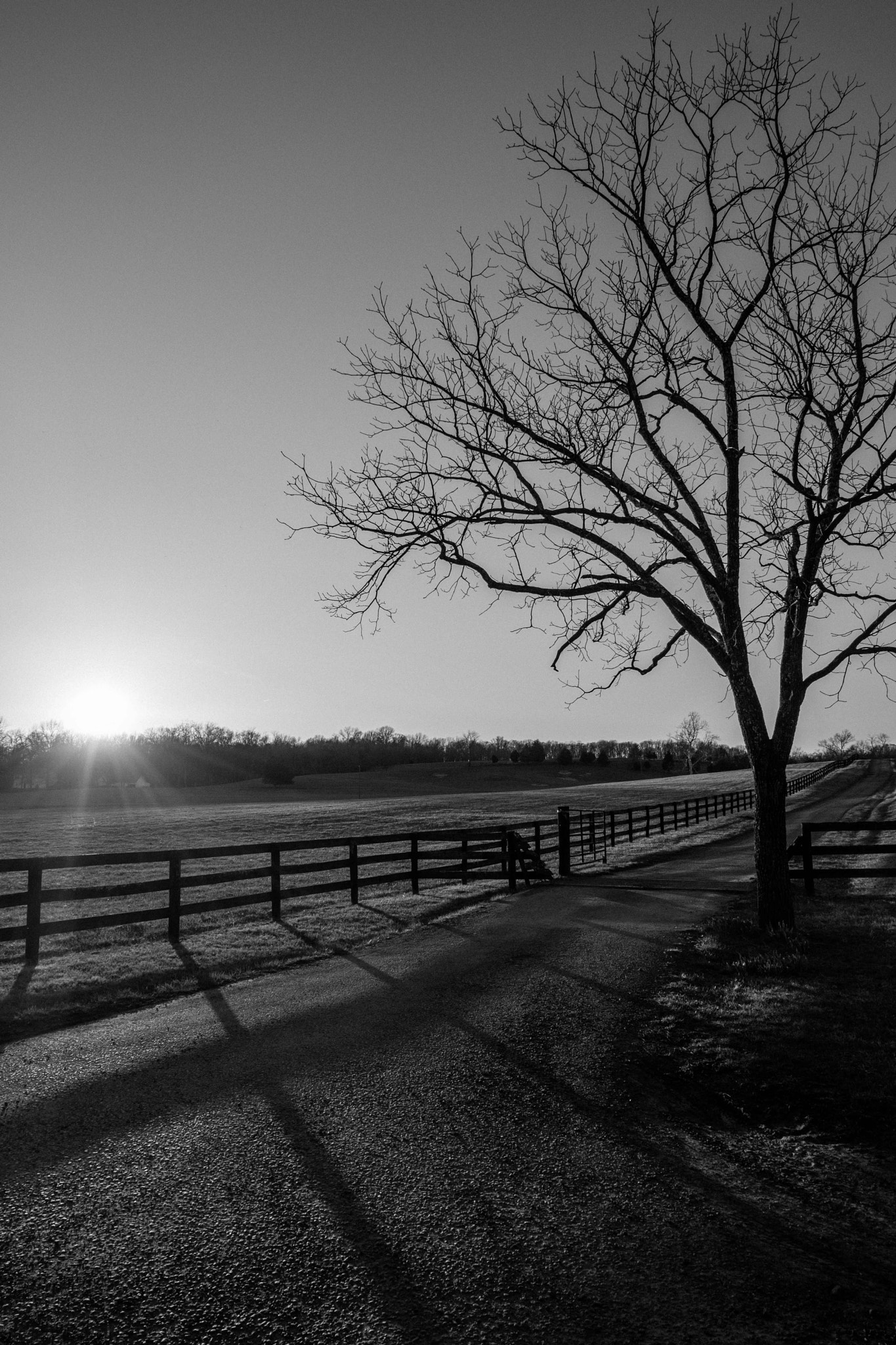 Fujifilm X-T2 + Fujifilm XC 16-50mm F3.5-5.6 OIS II sample photo. Country sunset photography