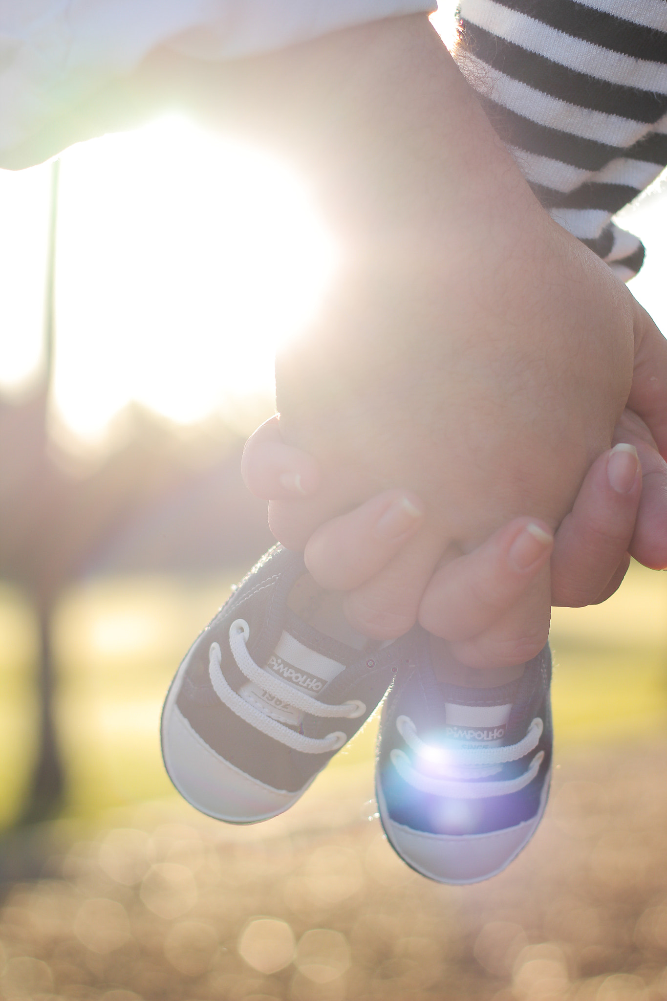 Canon EF 50mm F1.8 II sample photo. Img photography