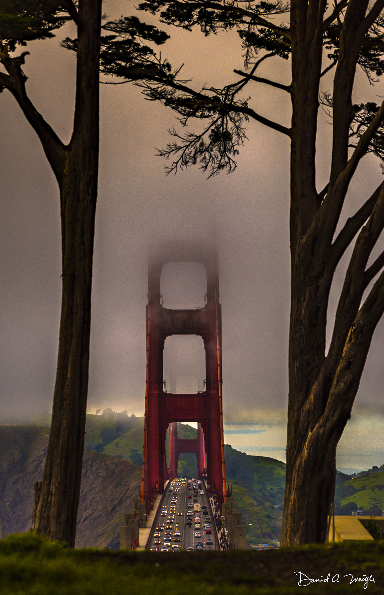 Nikon D810 sample photo. Golden gate fog photography