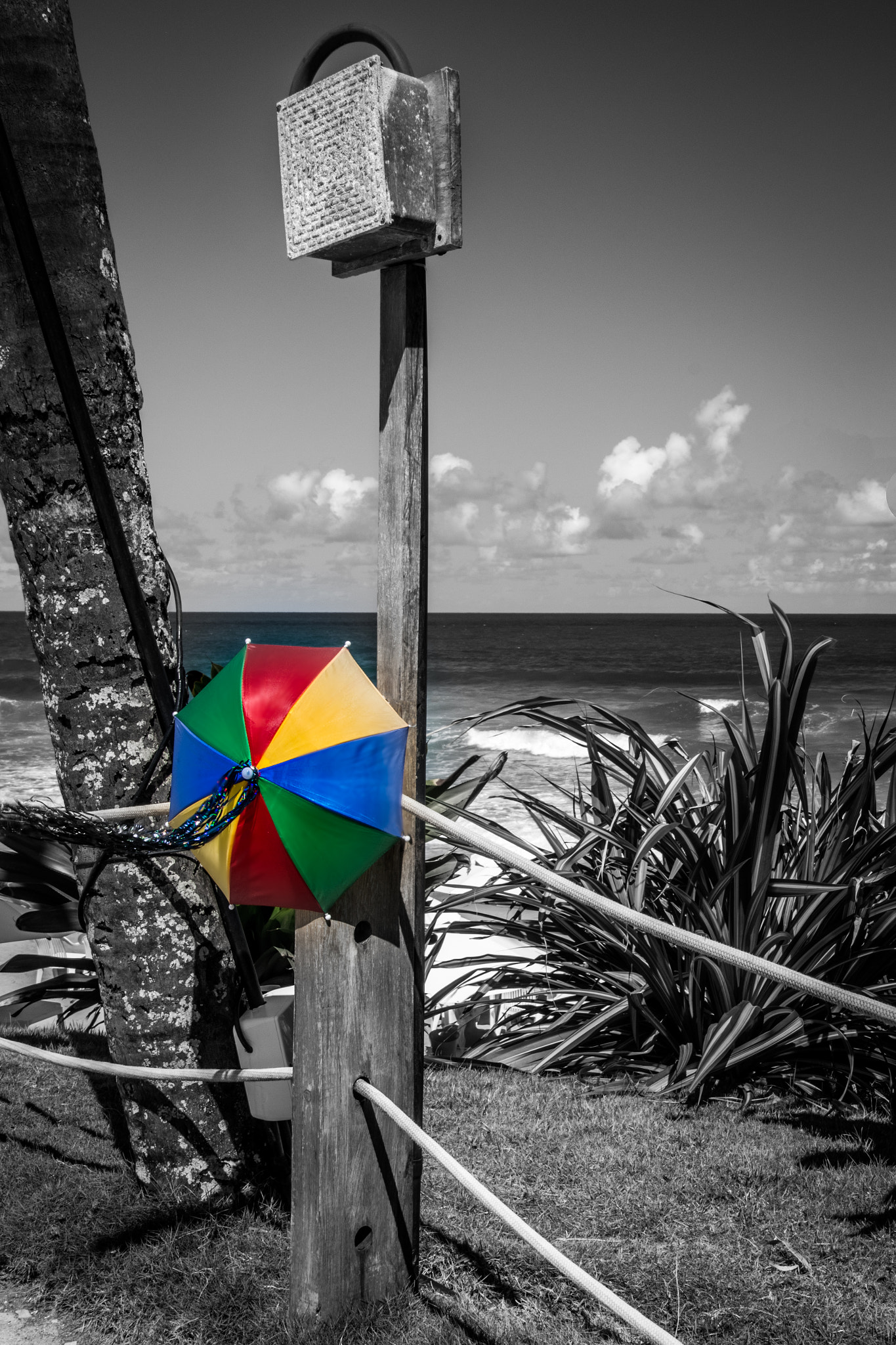 Nikon D7200 sample photo. Carnival on the beach photography