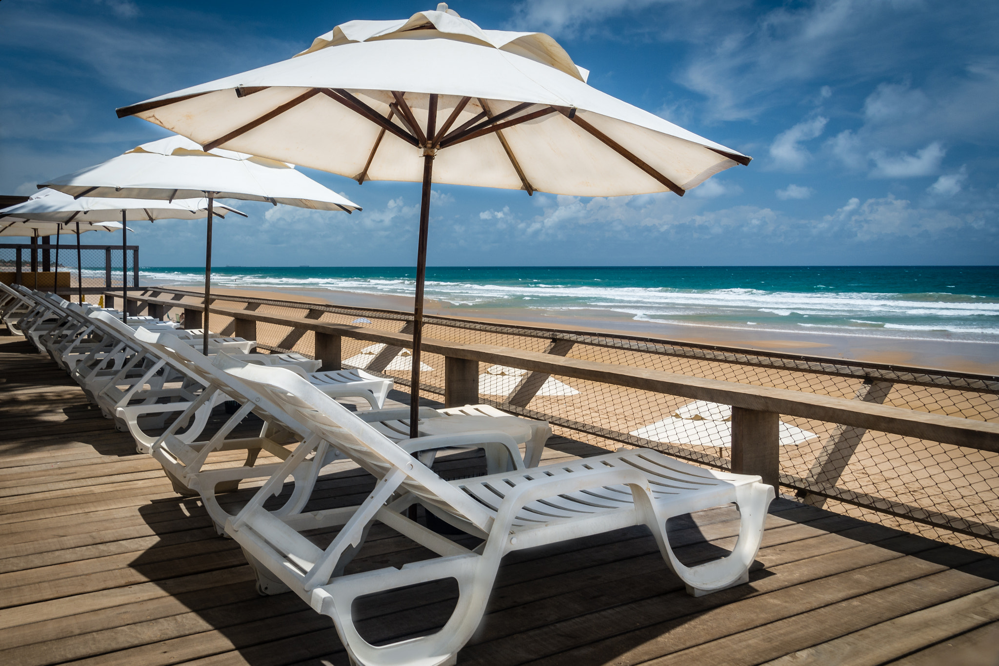 Nikon D7200 sample photo. Tough life photography