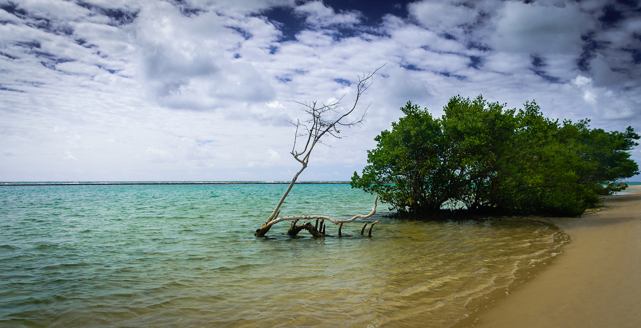 Nikon D7200 sample photo. Beautiful nature photography