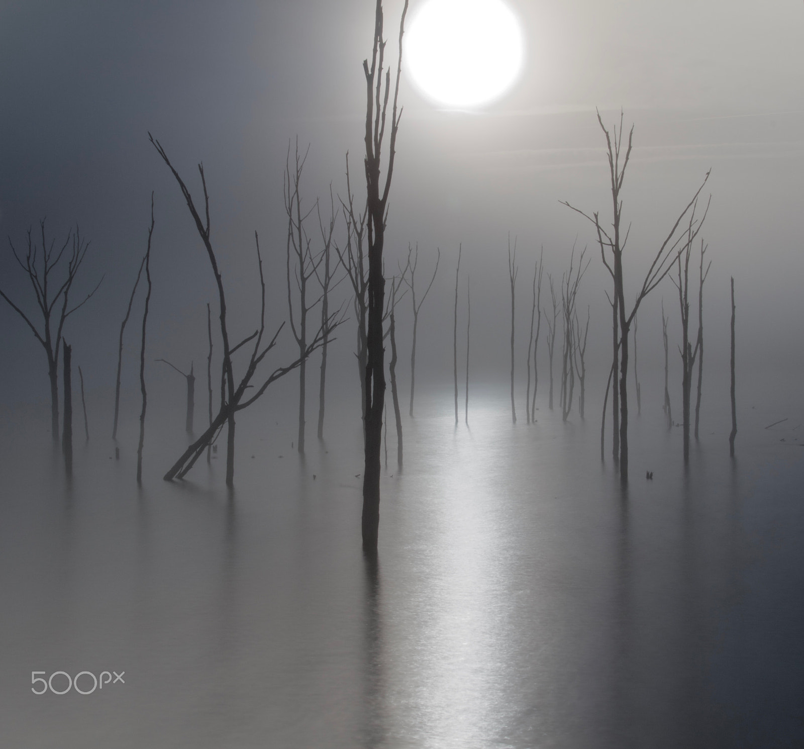 Sigma 18-250mm F3.5-6.3 DC OS HSM sample photo. Foggy morning photography