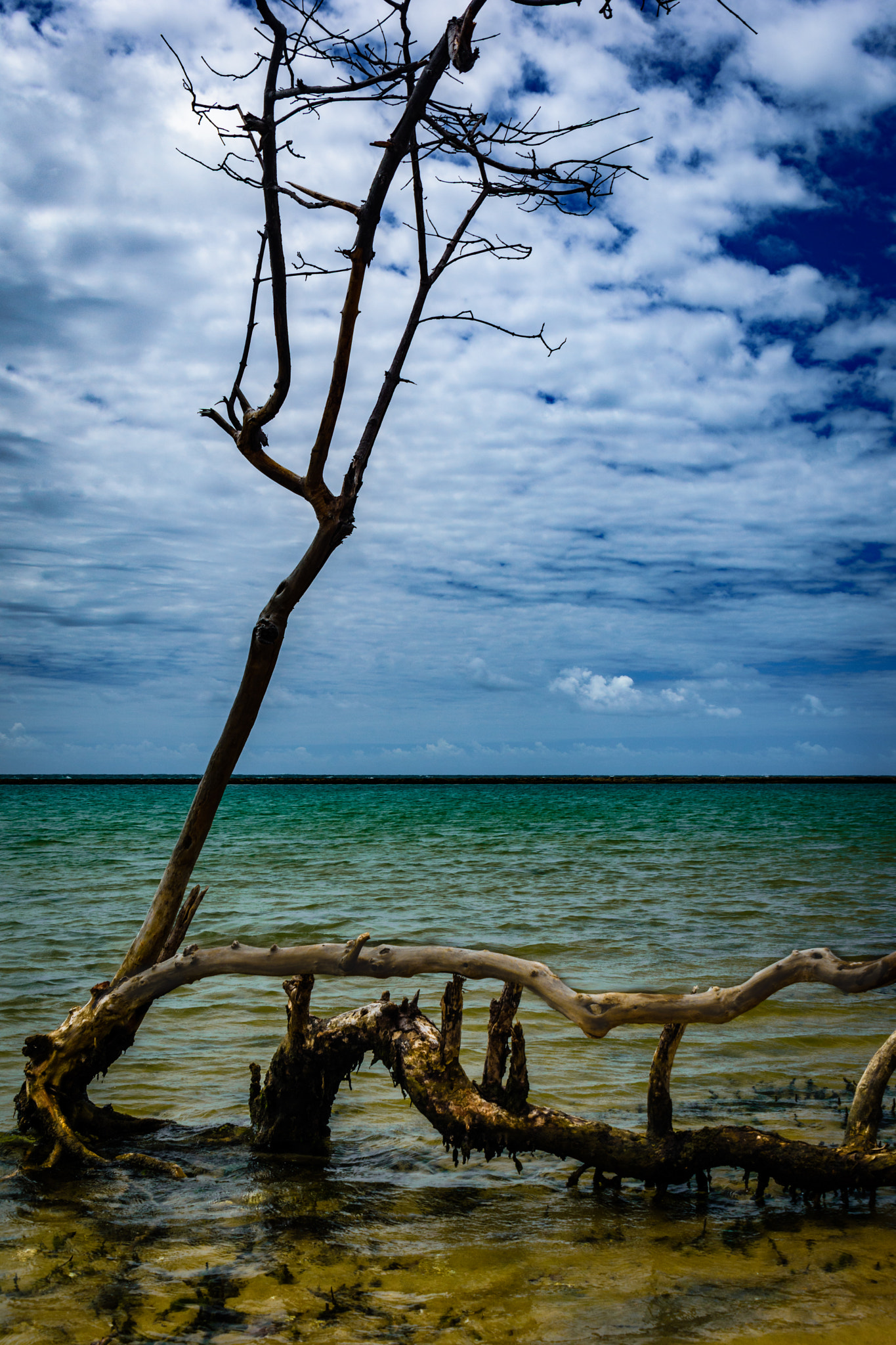 Nikon D7200 sample photo. Beautiful day on the beach photography