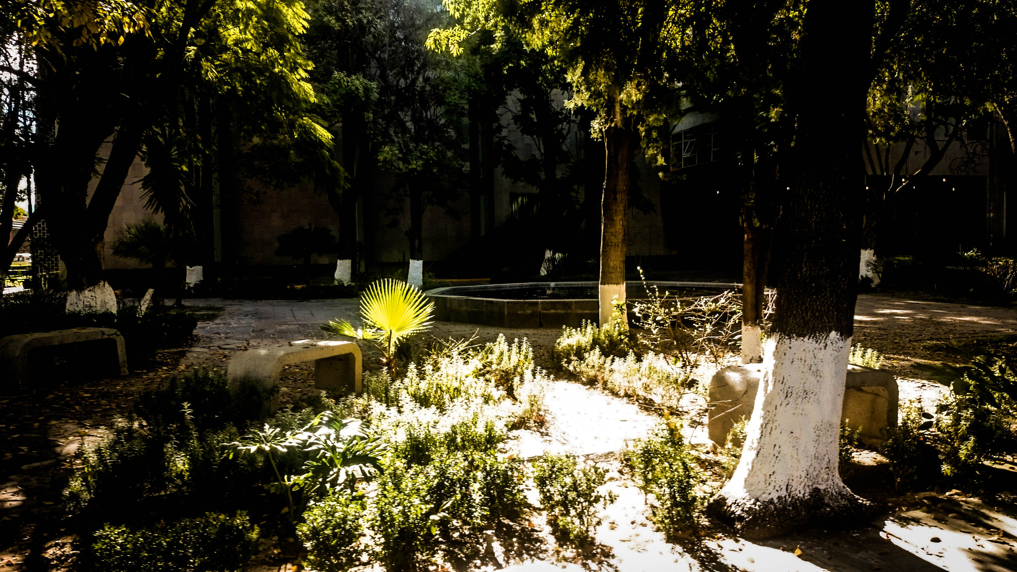 Sony Xperia Z1 Compact sample photo. Nunca photography