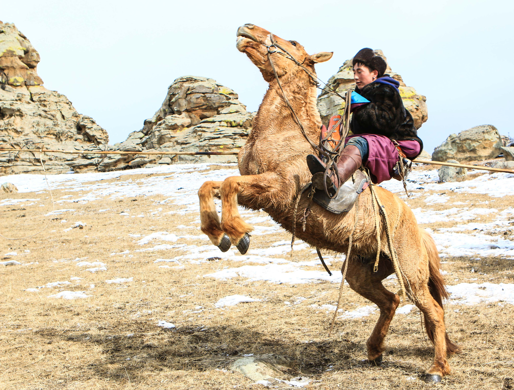 Canon EOS 70D + Canon EF 24-70mm F2.8L USM sample photo. Nomadic mongolia photography