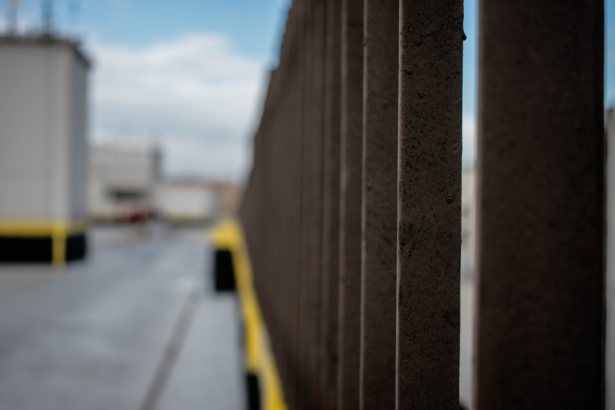Nikon D3400 sample photo. Another one photography