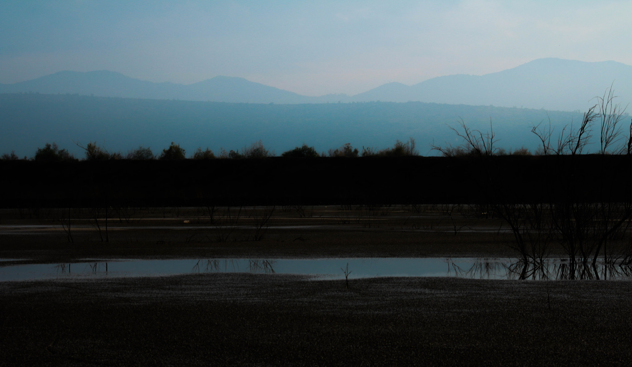 Canon EOS 750D (EOS Rebel T6i / EOS Kiss X8i) + EF75-300mm f/4-5.6 sample photo. Solo amigos photography