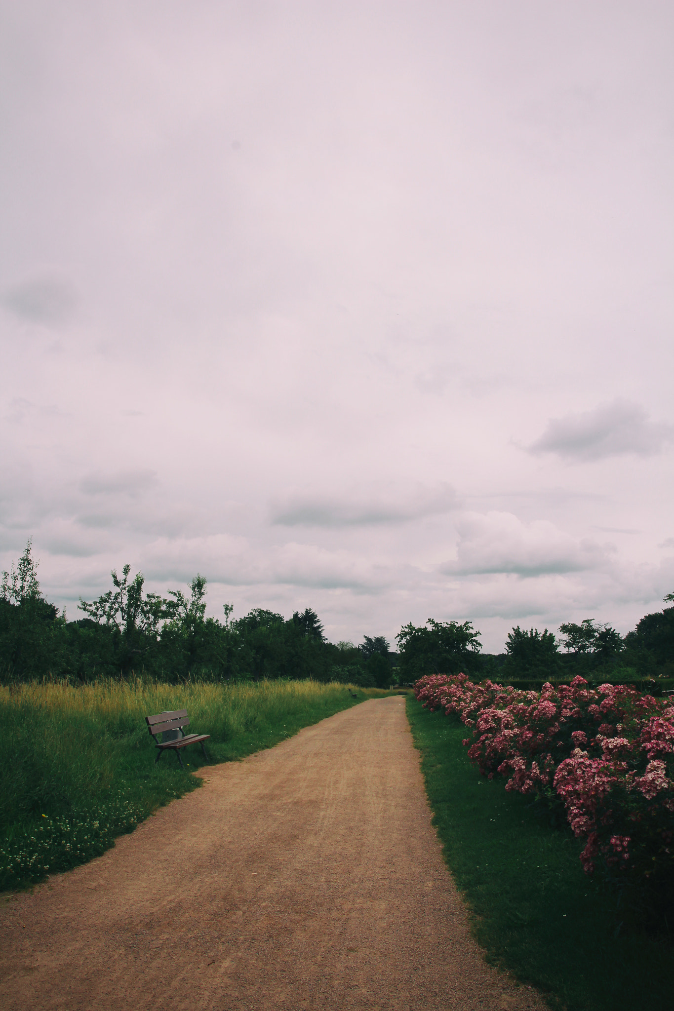 Sigma 18-250mm F3.5-6.3 DC OS HSM sample photo. Take a walk with me .. photography