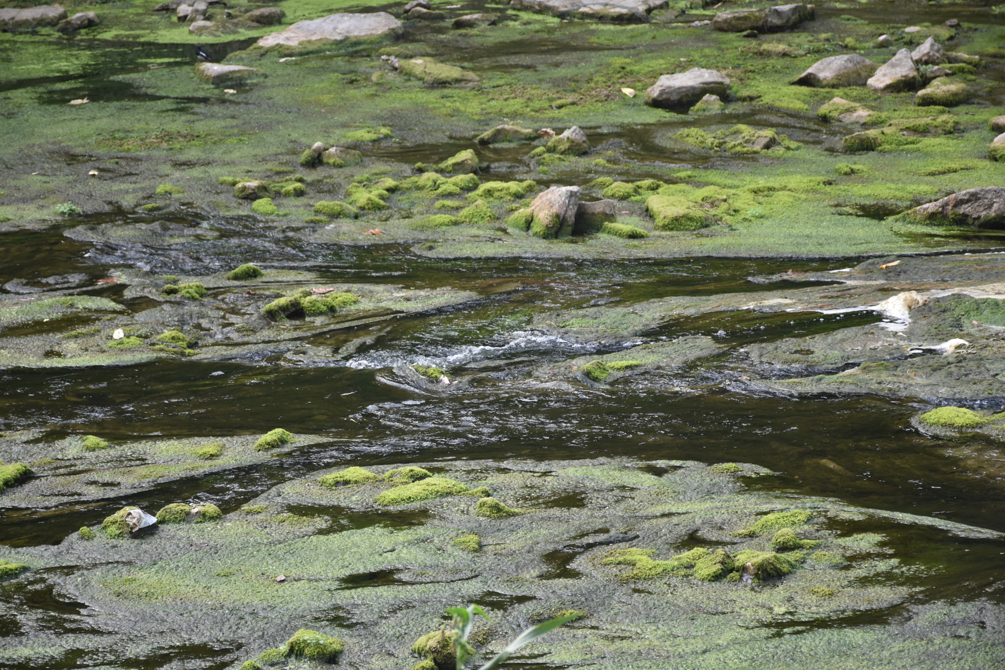 Nikon D3400 sample photo. Park scenery photography