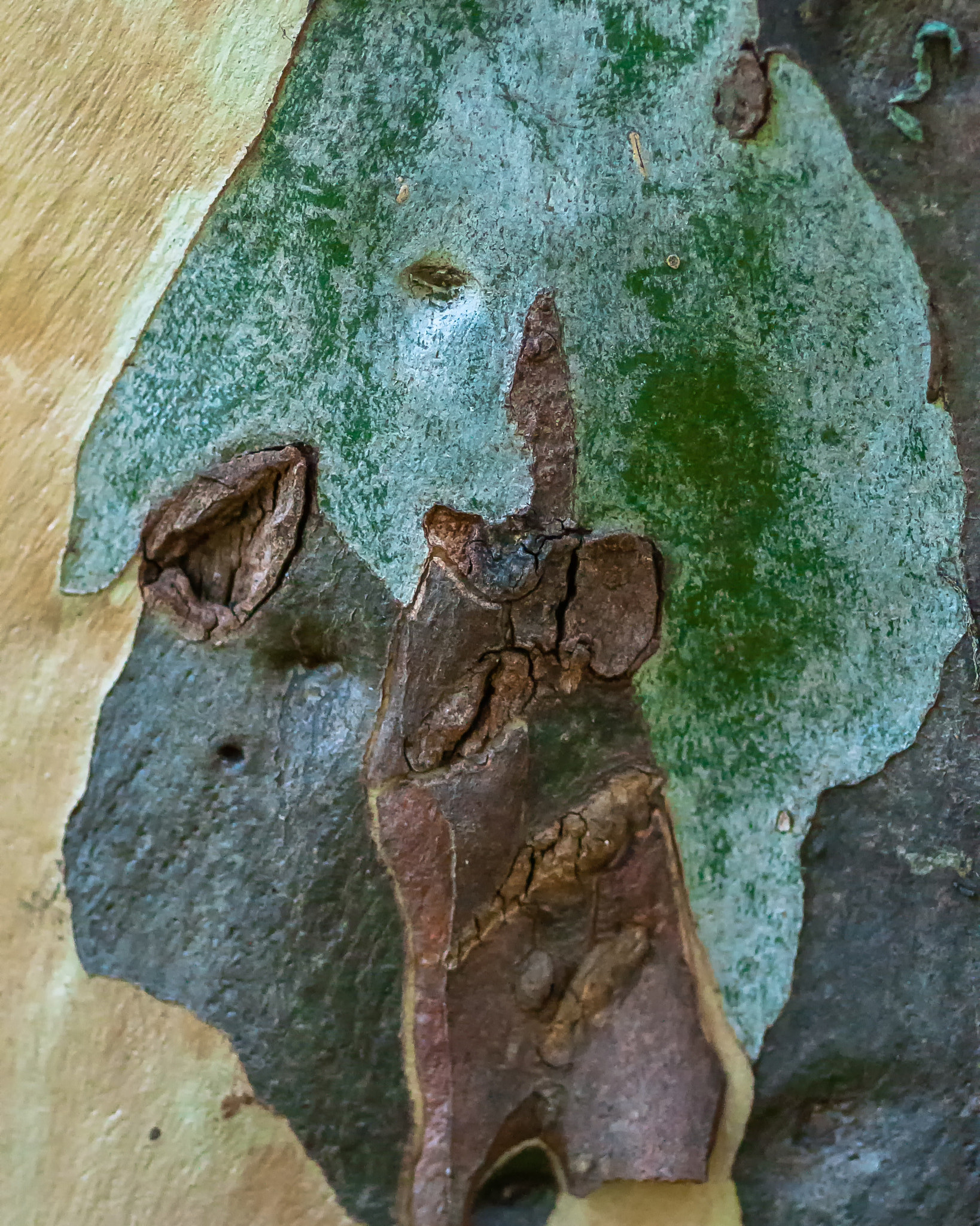 Sigma 105mm F2.8 EX DG Macro sample photo. Abandon photography