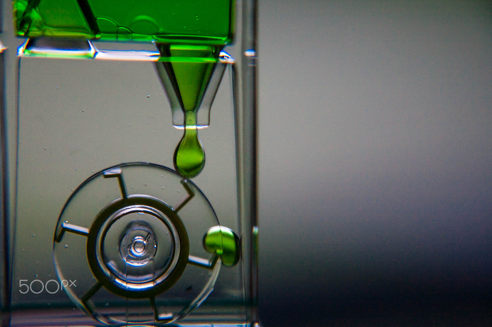 Canon EOS 5D + Canon EF 24-105mm F4L IS USM sample photo. The green drop photography