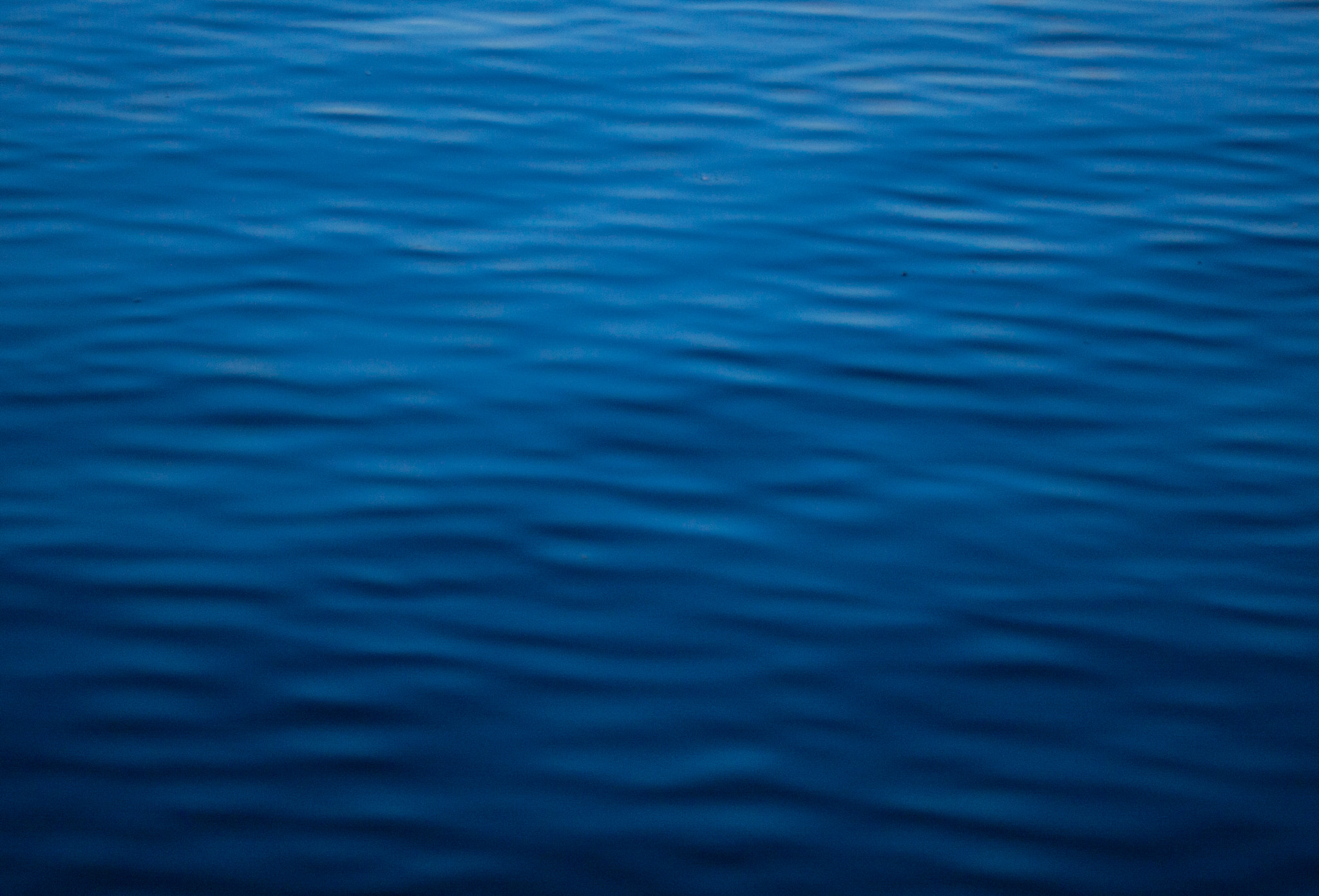Canon EF-S 60mm F2.8 Macro USM sample photo. Dark water photography