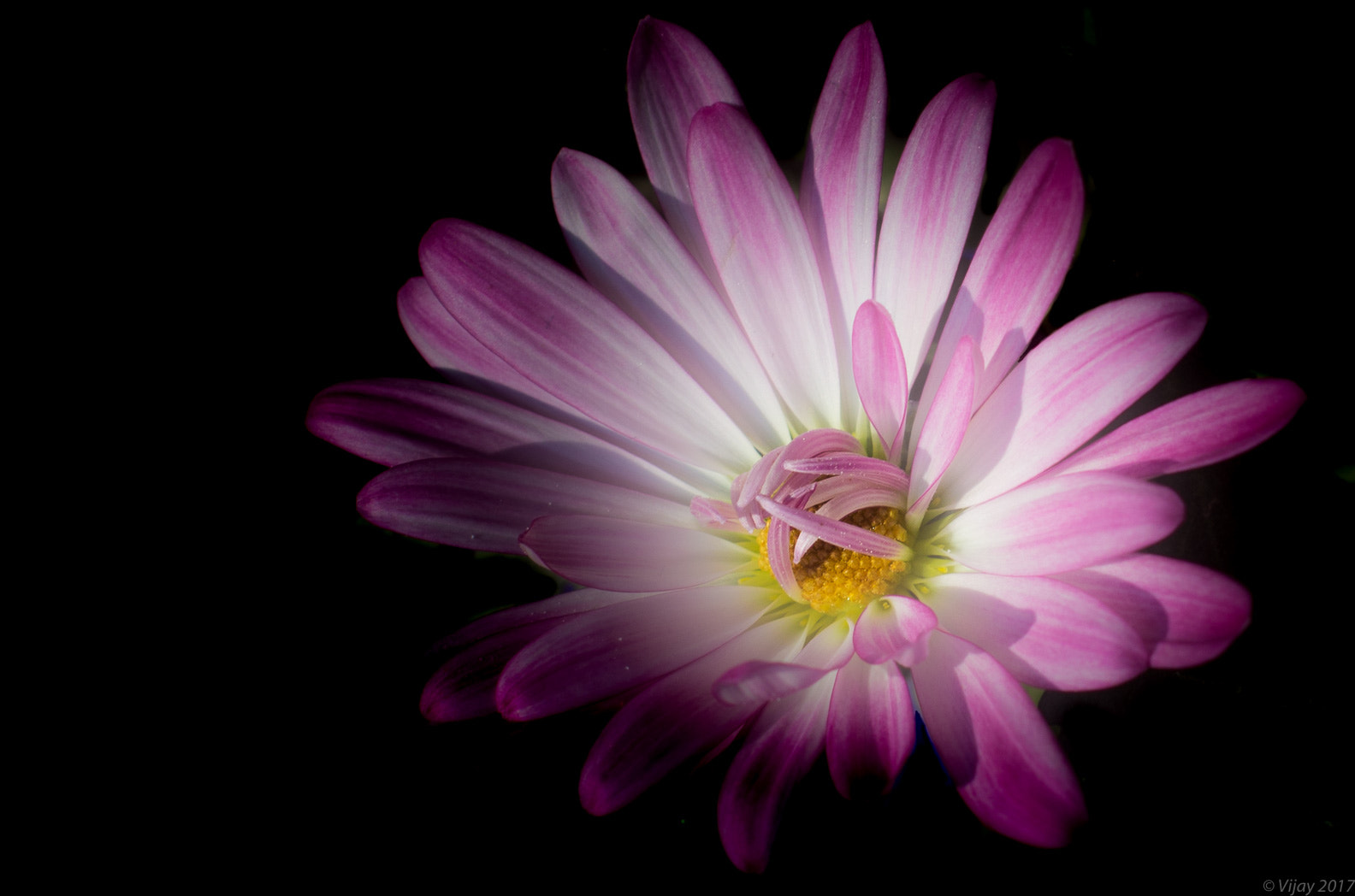 Canon EOS 70D + Canon EF 50mm F1.4 USM sample photo. Unfolding photography
