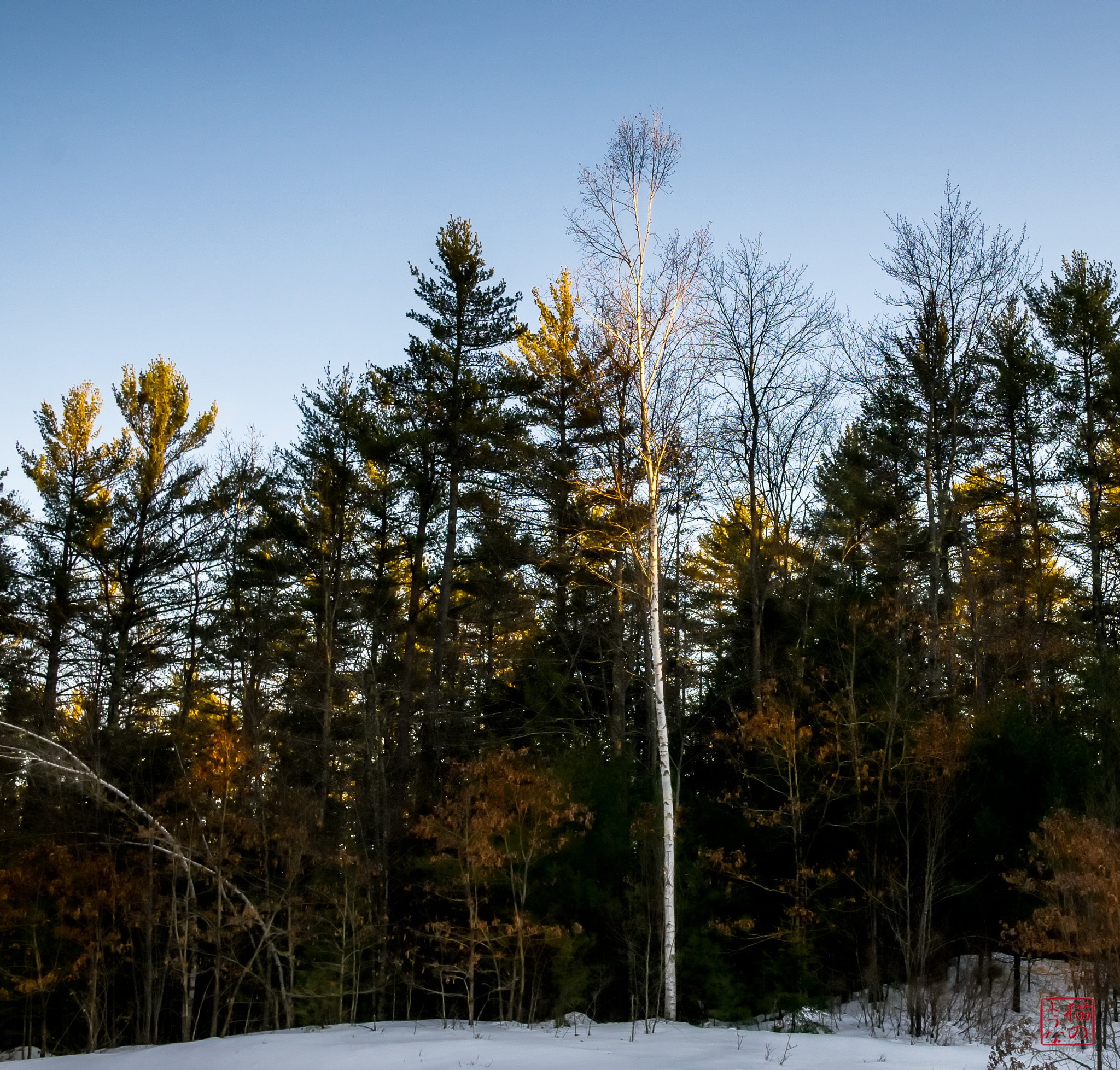 Sony a7 + Sony Sonnar T* E 24mm F1.8 ZA sample photo. One of a kind photography