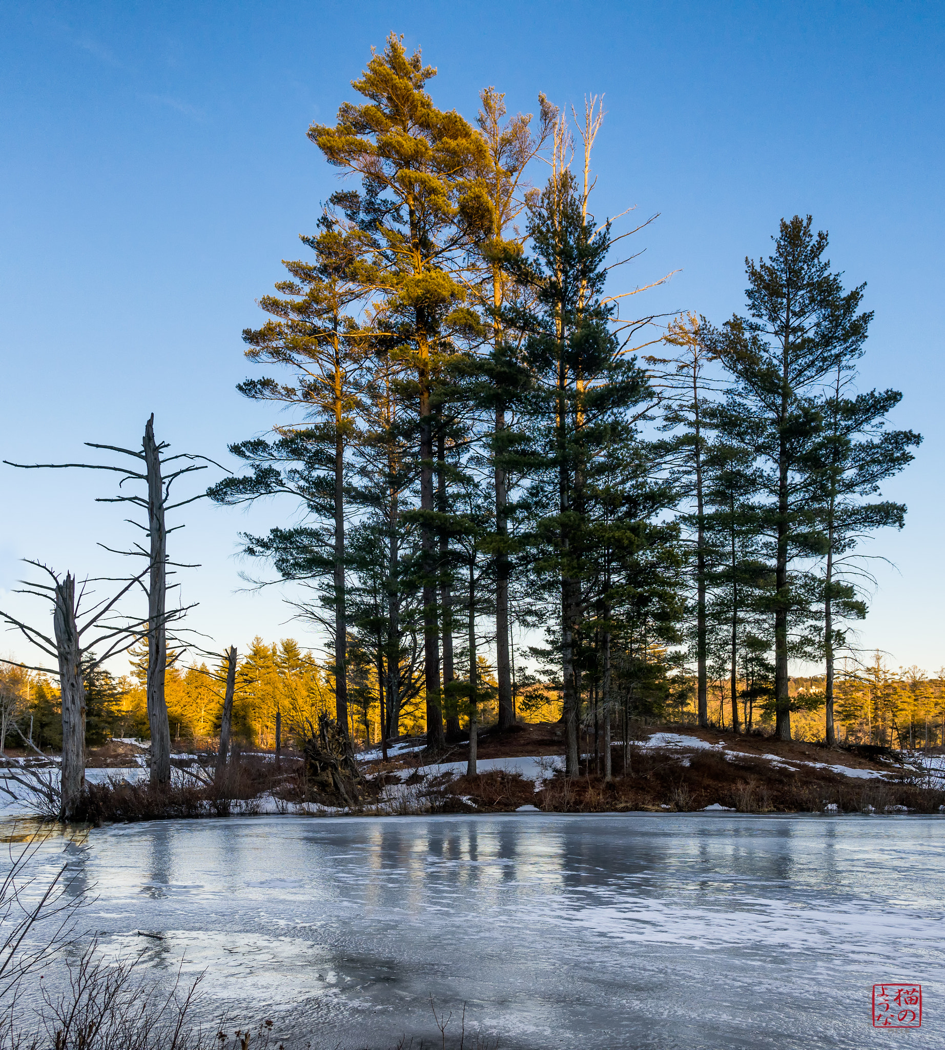 Sony a7 + Sony Sonnar T* E 24mm F1.8 ZA sample photo. Sunny tips photography