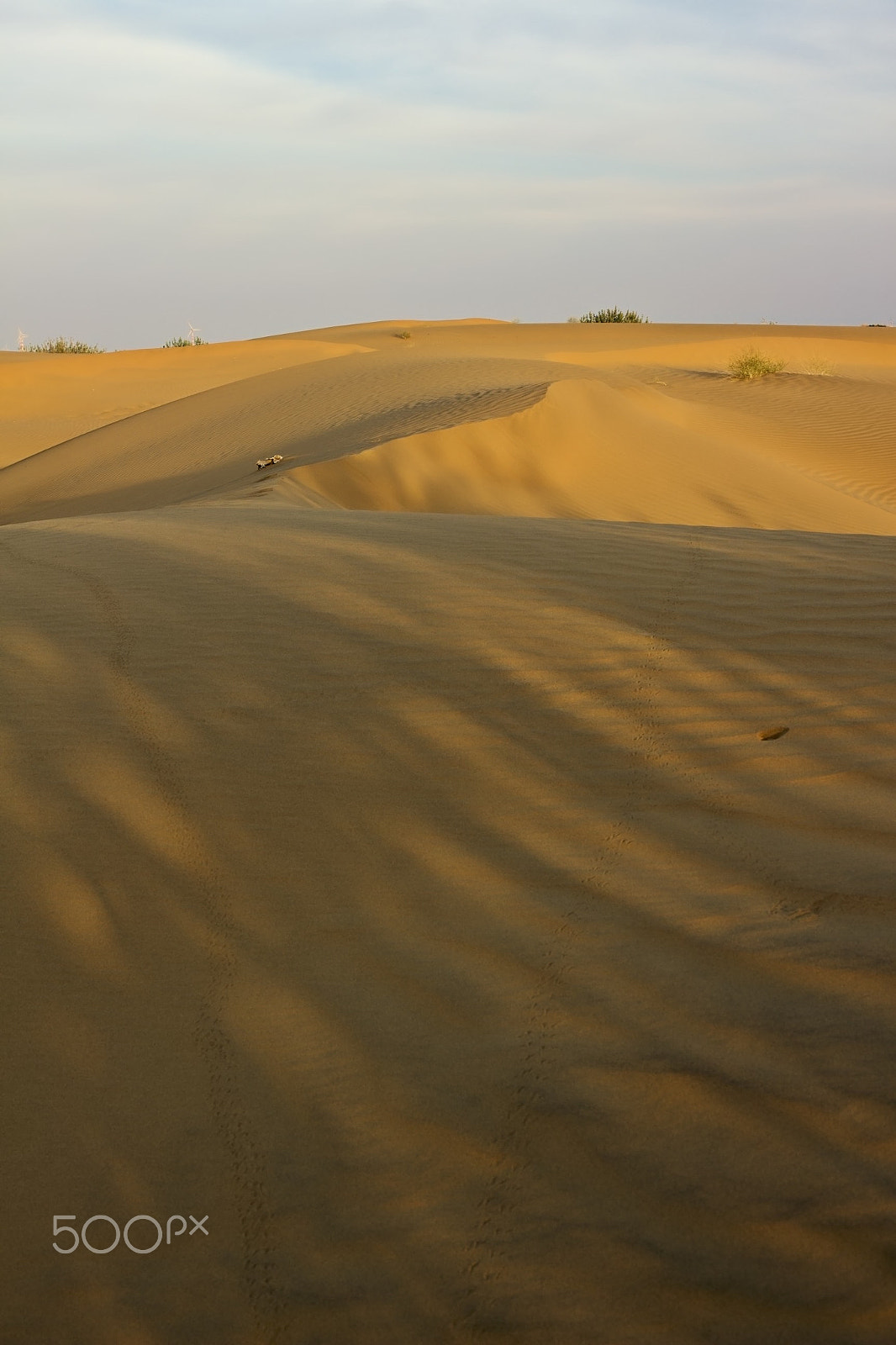 Canon EOS 100D (EOS Rebel SL1 / EOS Kiss X7) sample photo. Dune ii photography