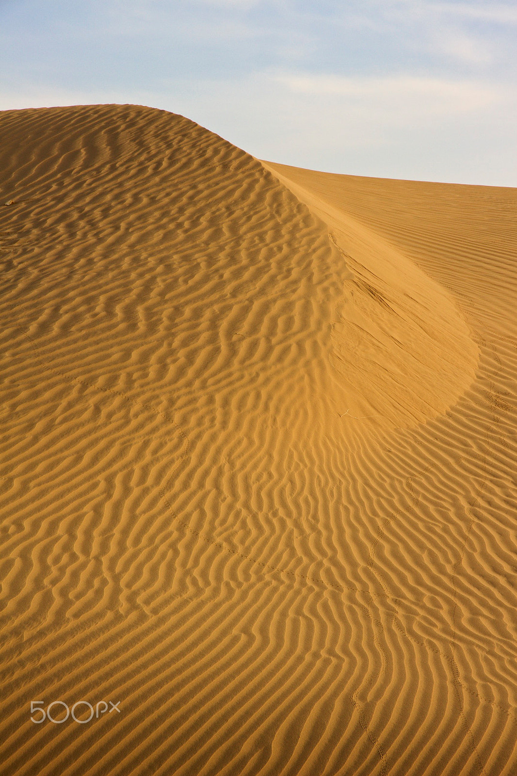 Canon EOS 100D (EOS Rebel SL1 / EOS Kiss X7) sample photo. Dune photography
