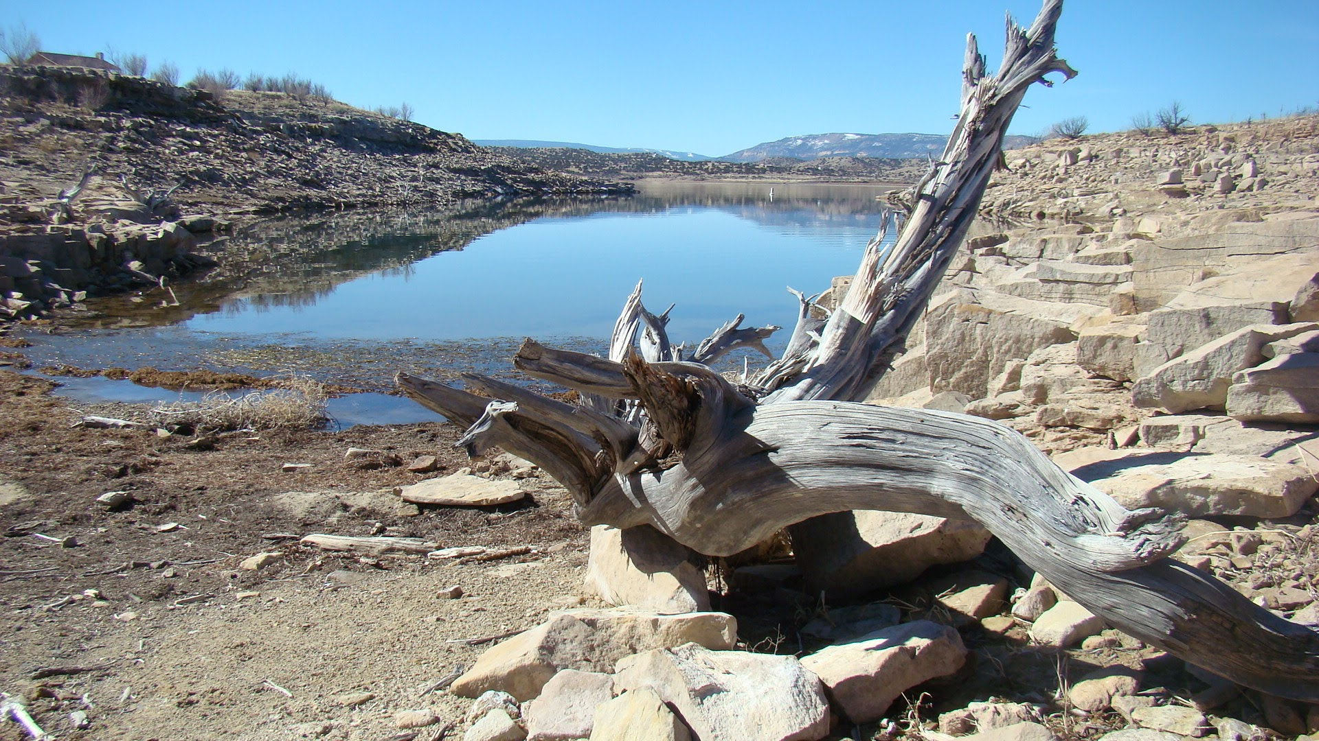 Sony DSC-H7 sample photo. Abiquiu lake wood photography