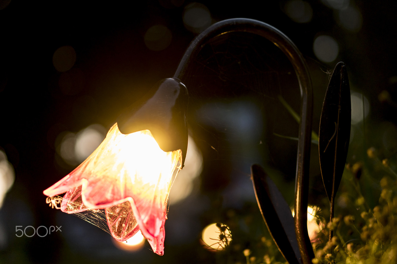 Sony a6300 + E 50mm F1.8 OSS sample photo. Lumen photography