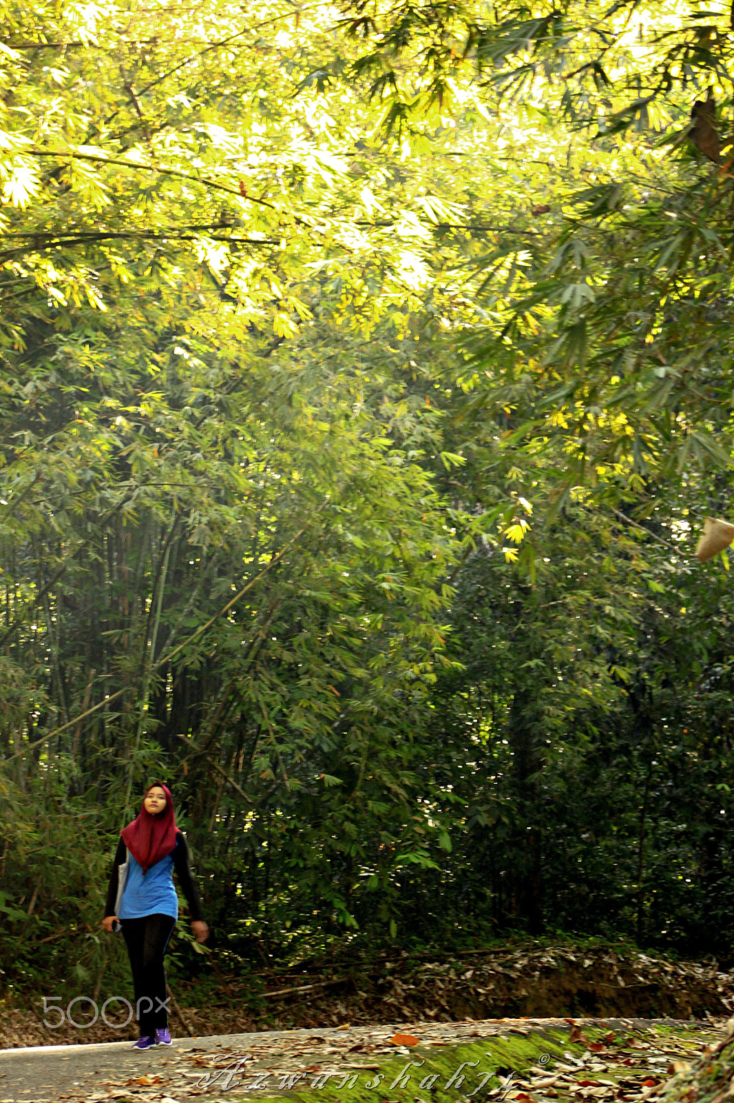 Canon EF 75-300mm f/4-5.6 USM sample photo. Morning walk photography