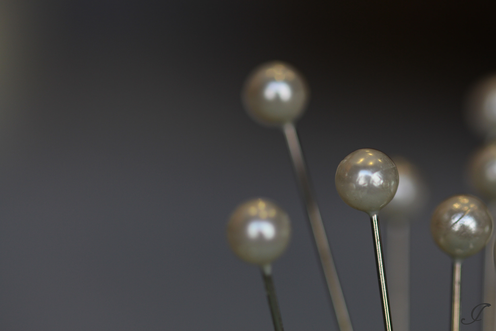 Sigma 105mm F2.8 EX DG OS HSM sample photo. Pinned photography