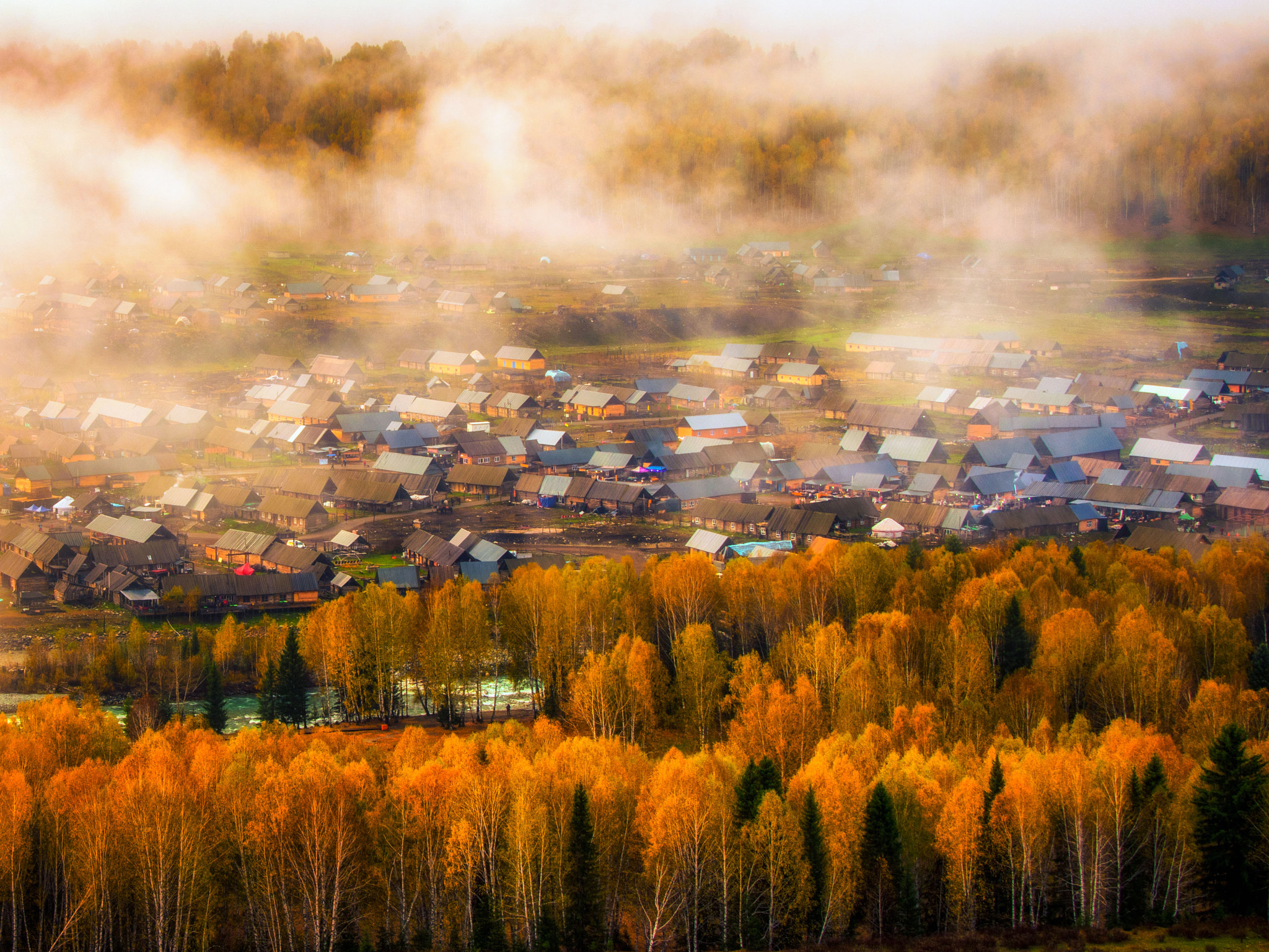 Nikon D500 sample photo. Golden autumn photography