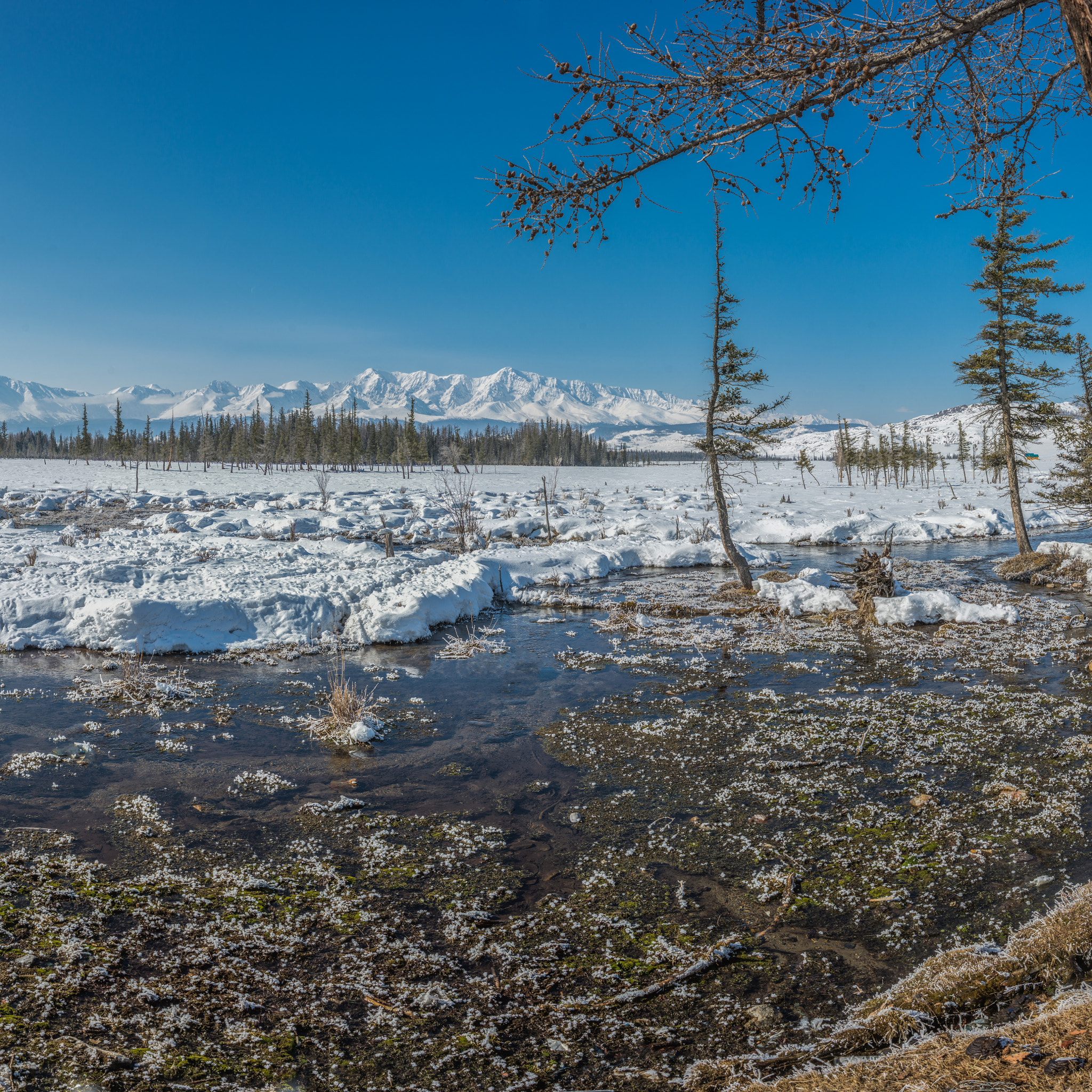 Nikon AF Nikkor 24-85mm F2.8-4D IF sample photo. North-chuya ridge photography