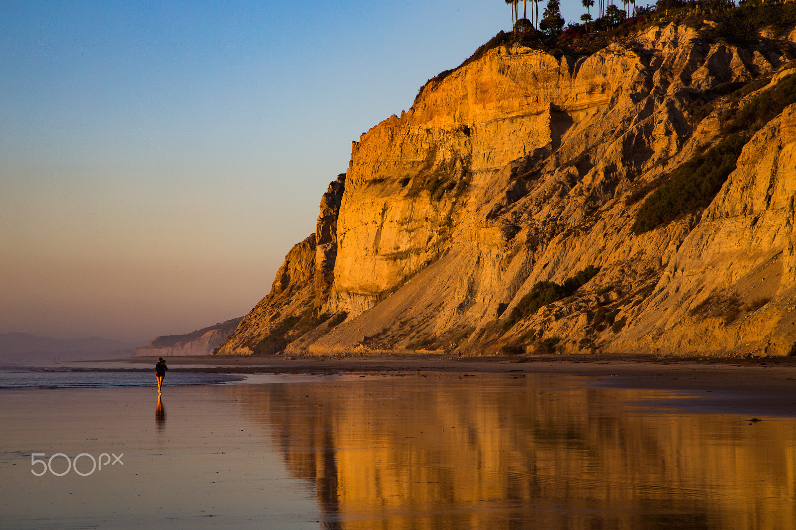 Canon EOS-1D X sample photo. Black's beach runner photography