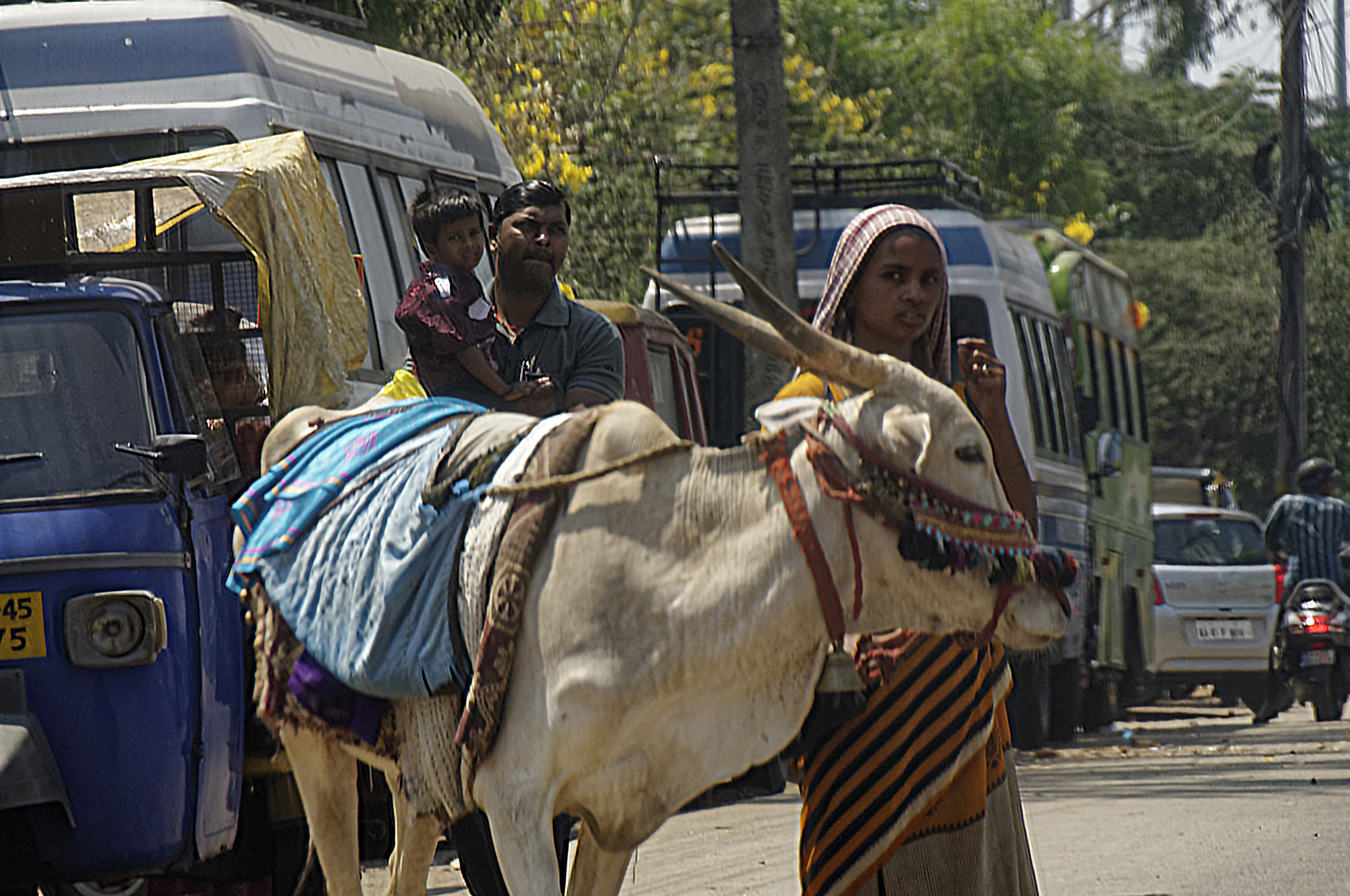 Nikon D300S sample photo. Indian street photography