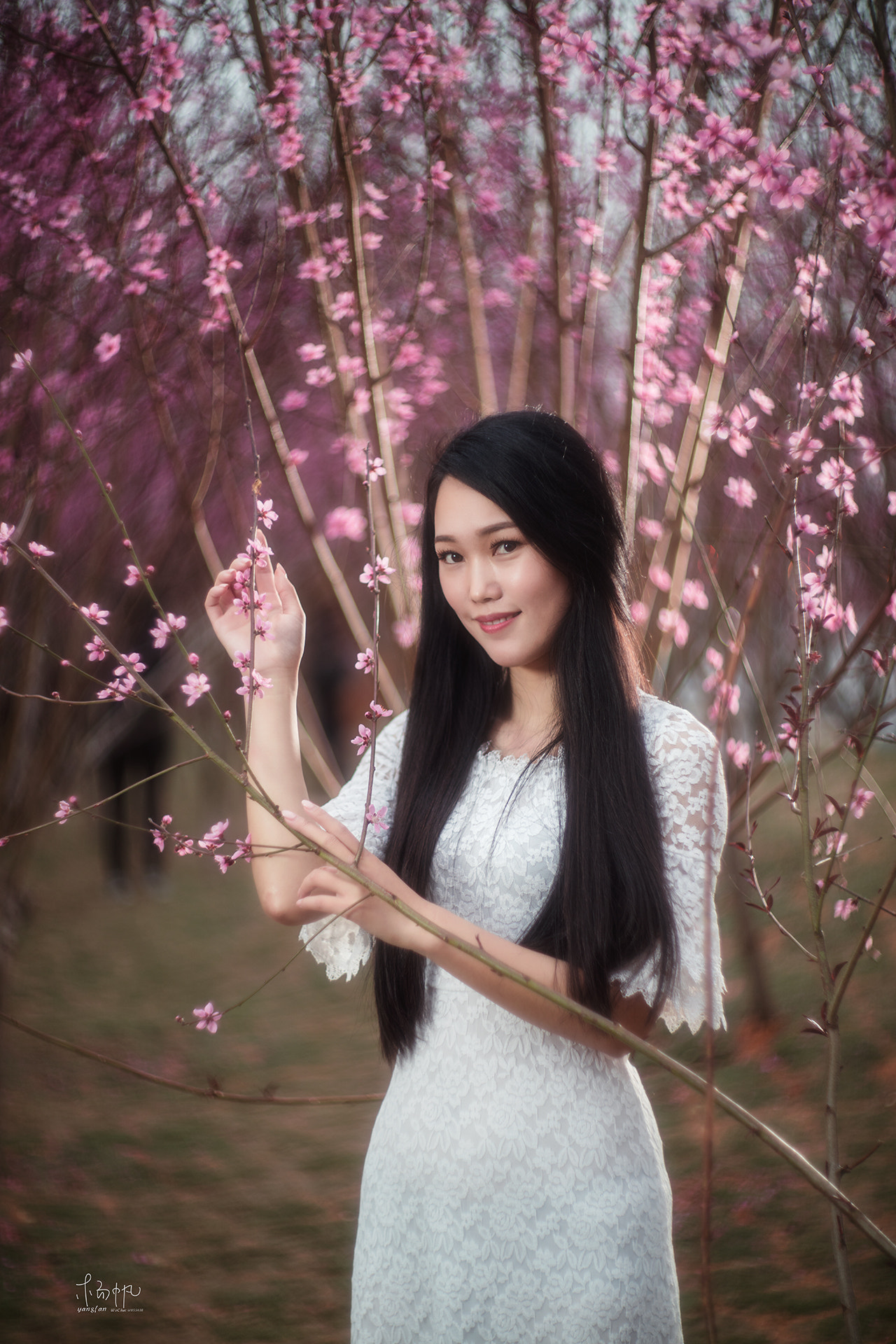 Canon EF 28-70mm f/3.5-4.5 sample photo. 听，花开的声音 photography