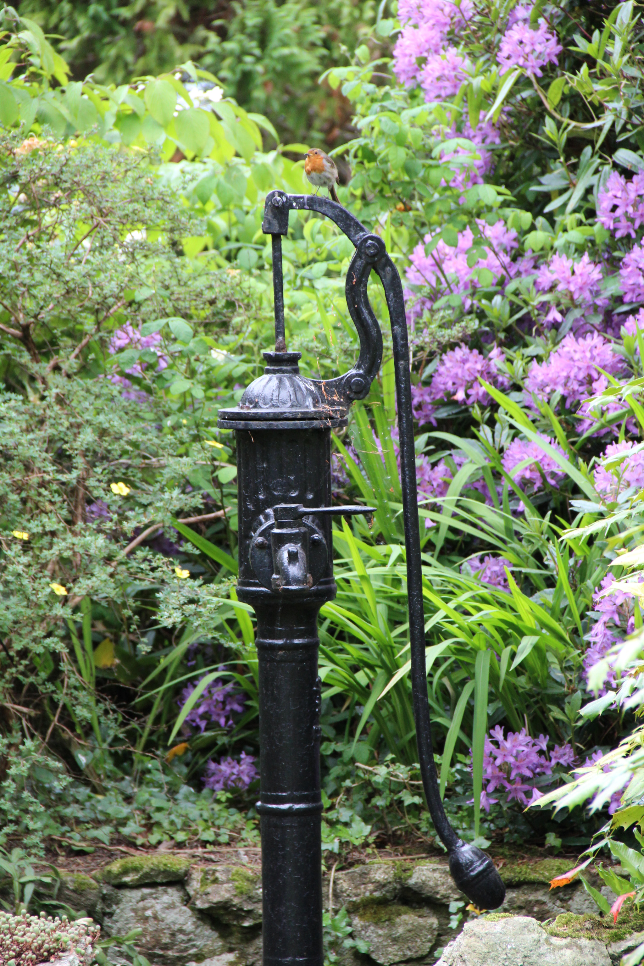 Canon EOS 1200D (EOS Rebel T5 / EOS Kiss X70 / EOS Hi) sample photo. Black metal old waterpump in a garden photography