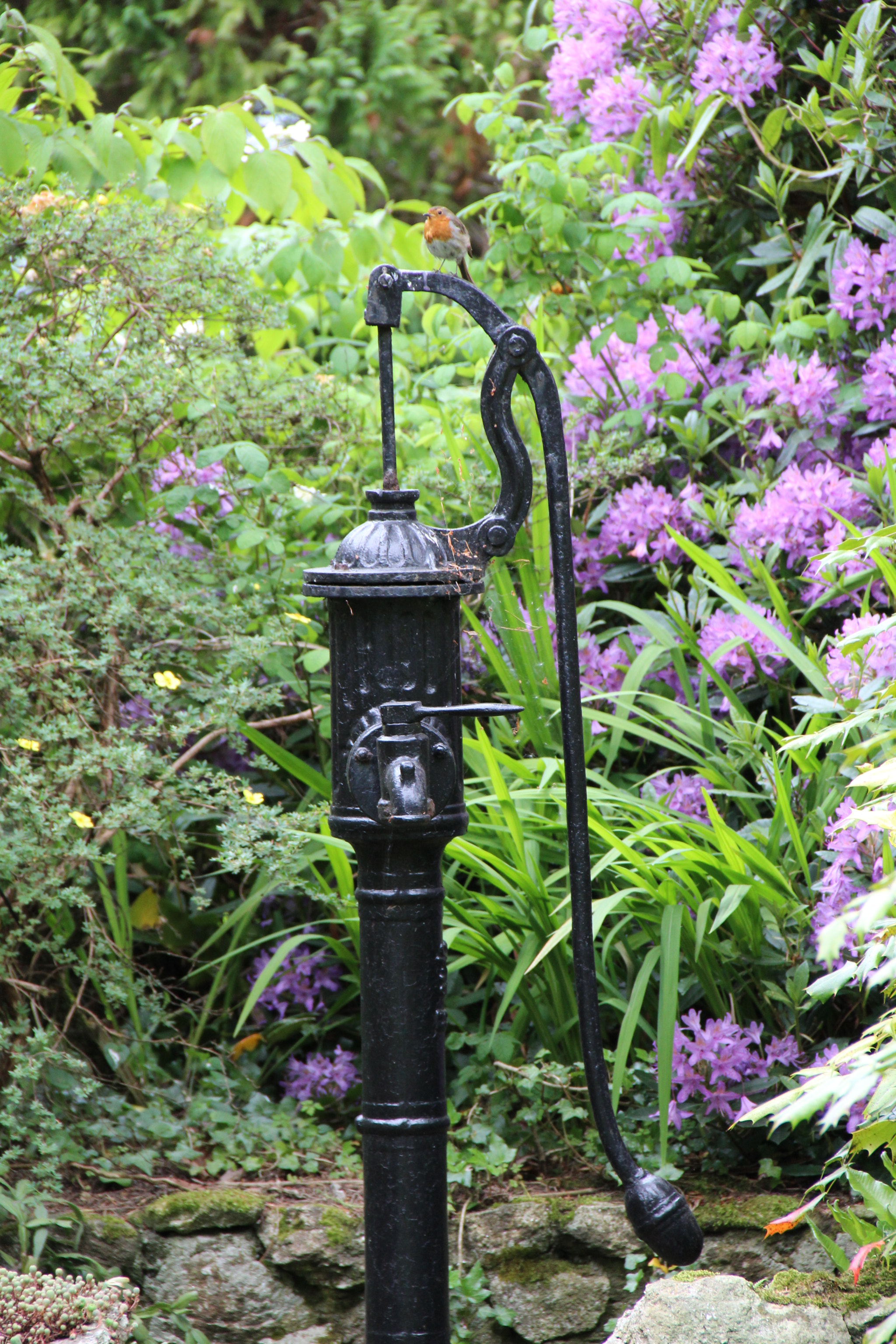 Canon EF-S 18-135mm F3.5-5.6 IS sample photo. Black metal old waterpump in a garden photography