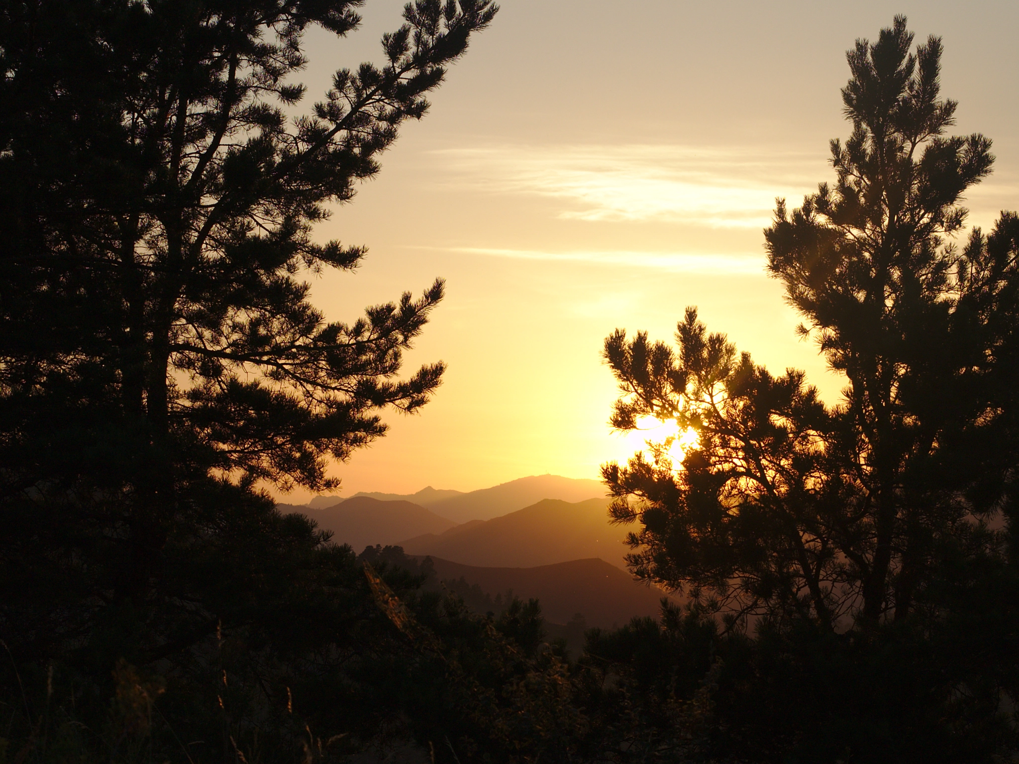 Canon EOS 1100D (EOS Rebel T3 / EOS Kiss X50) + Canon EF 50mm F1.4 USM sample photo. Sunset in kazakhstan photography