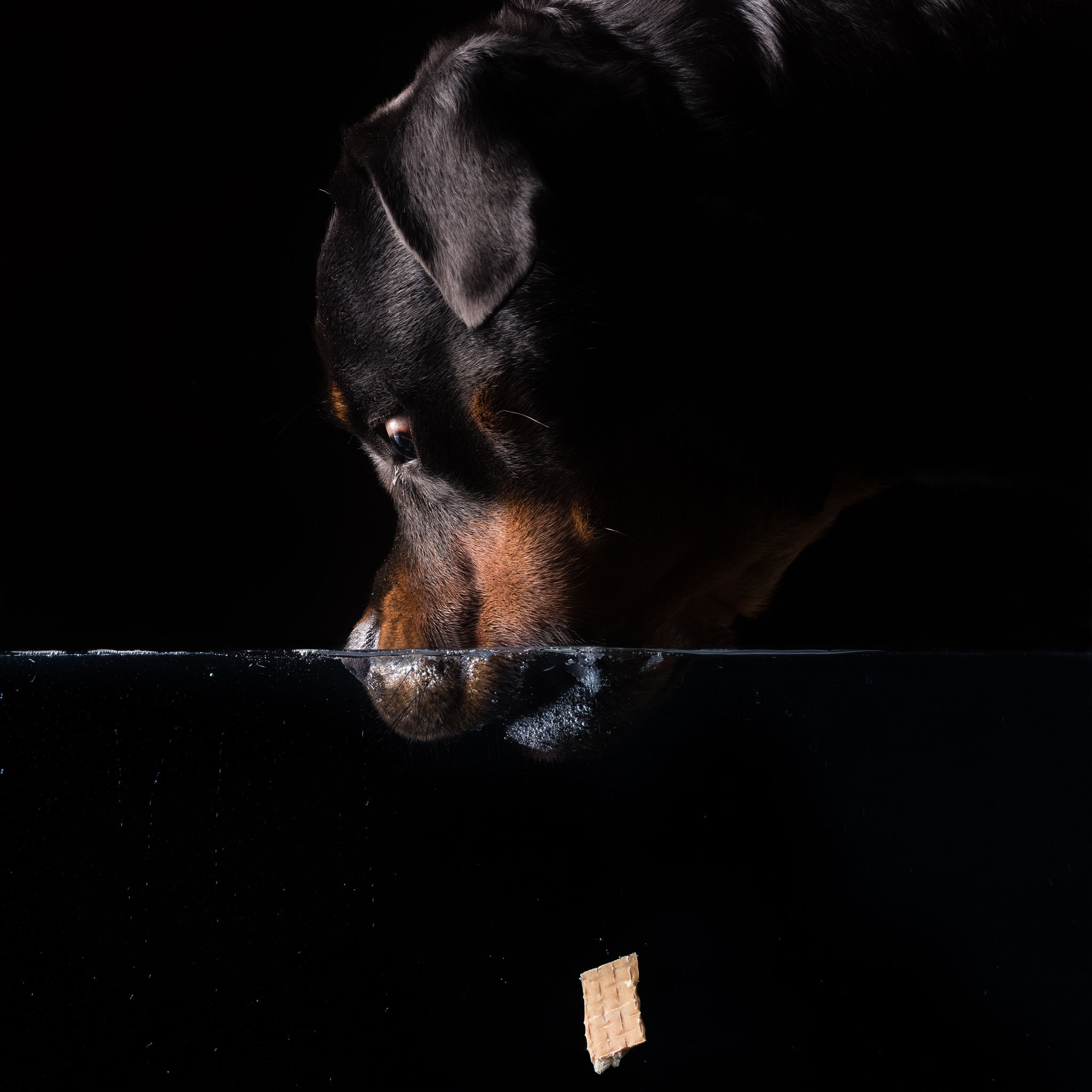 Nikon D810 + Sigma 50mm F1.4 DG HSM Art sample photo. Cookie time photography