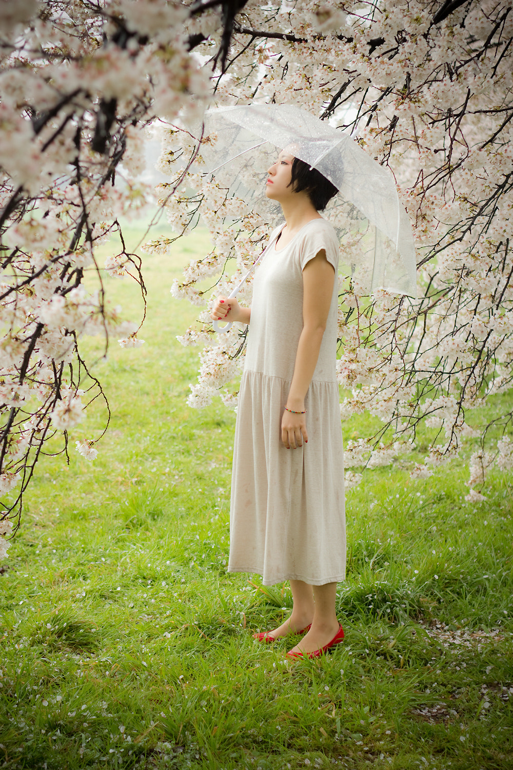 Canon EOS 550D (EOS Rebel T2i / EOS Kiss X4) sample photo. Yukino photography